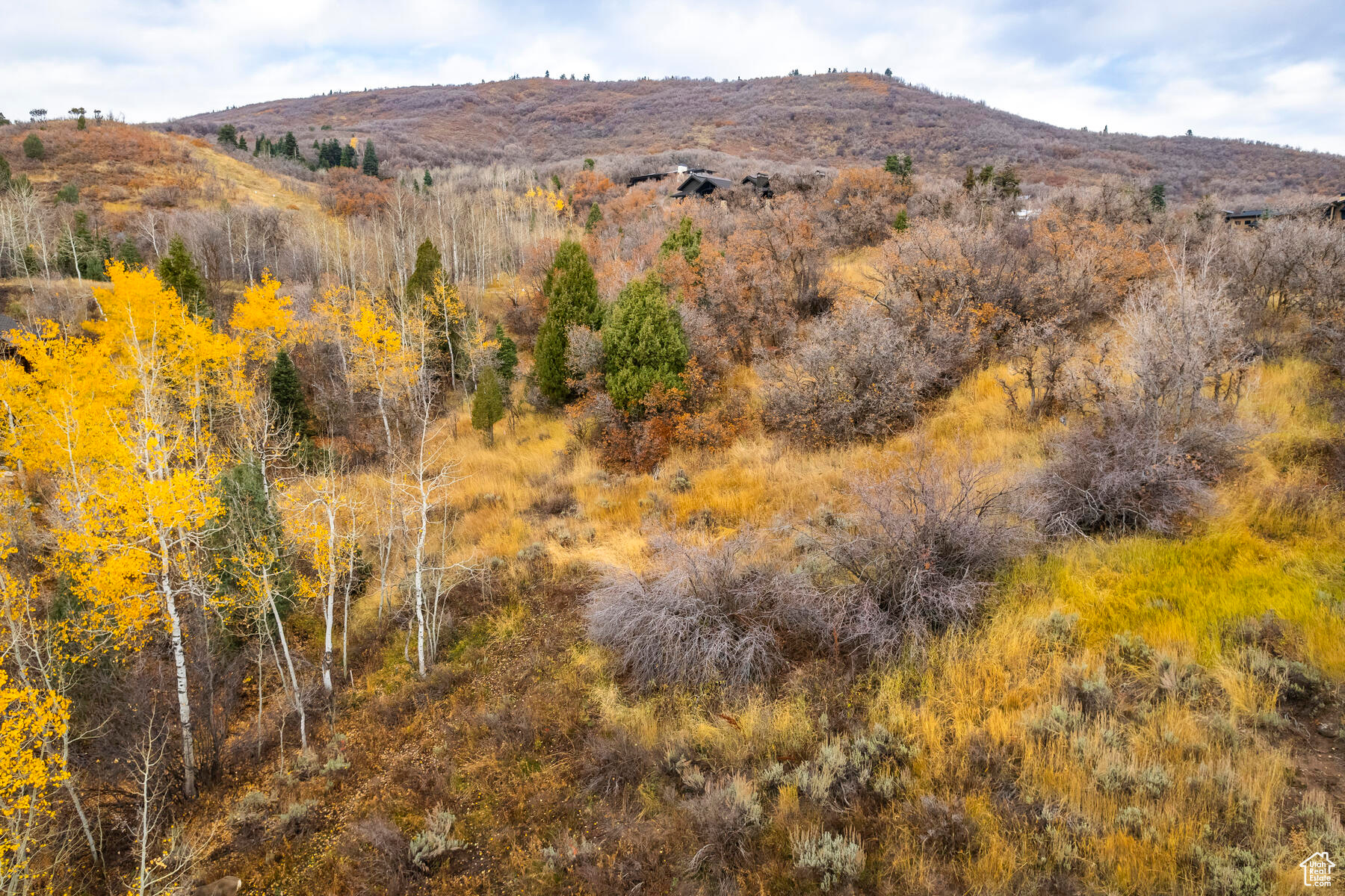 8719 PARLEYS #8, Park City, Utah 84098, ,Land,For sale,PARLEYS,1867381