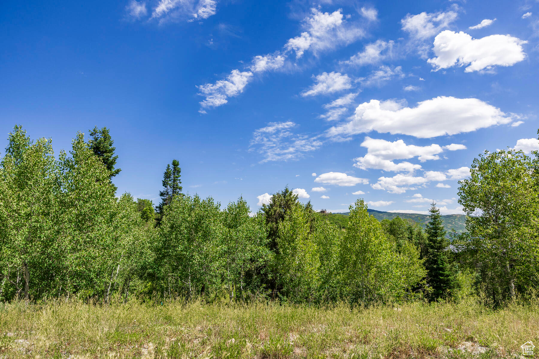 8719 PARLEYS #8, Park City, Utah 84098, ,Land,For sale,PARLEYS,1867381