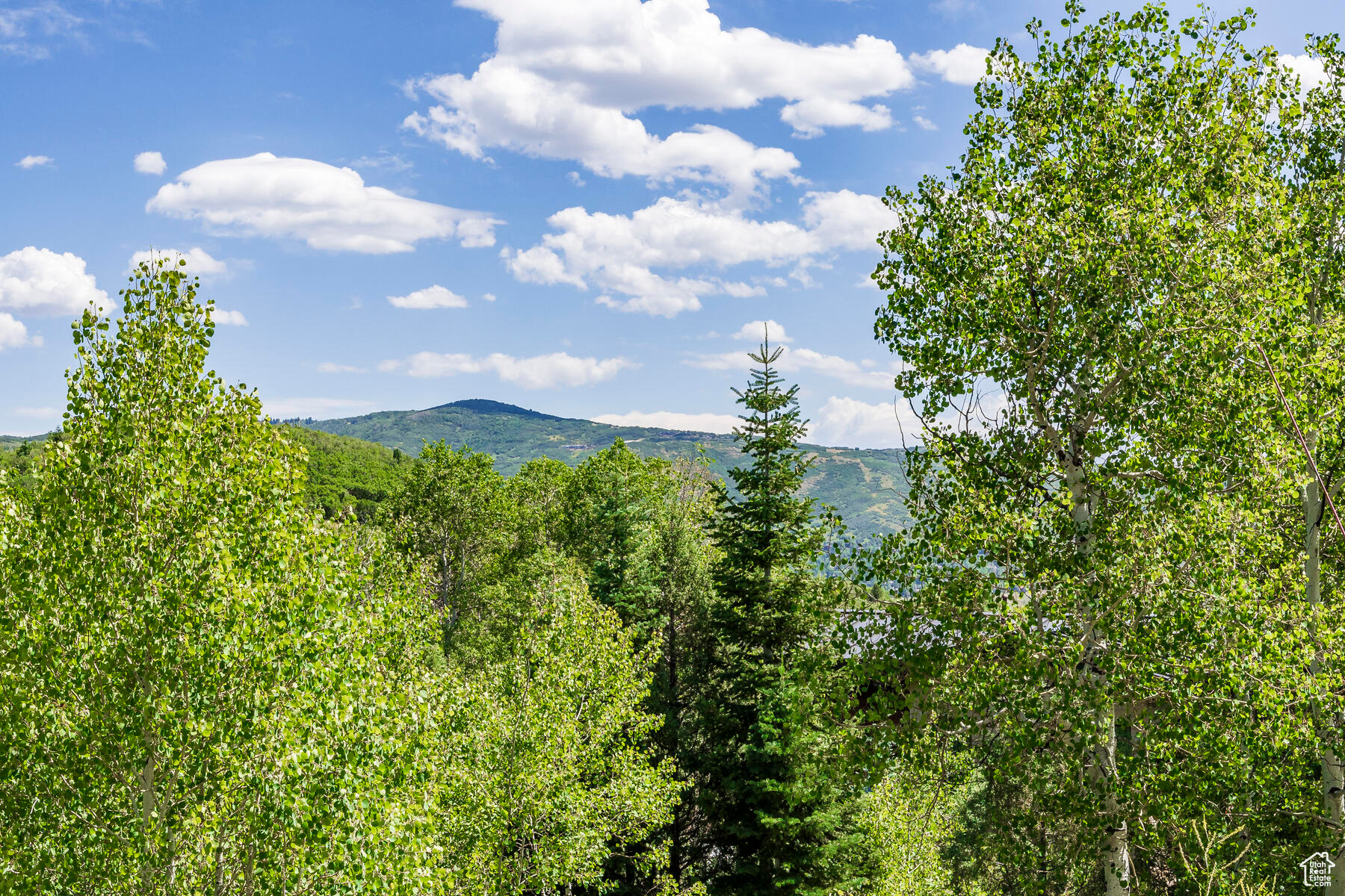 8719 PARLEYS #8, Park City, Utah 84098, ,Land,For sale,PARLEYS,1867381