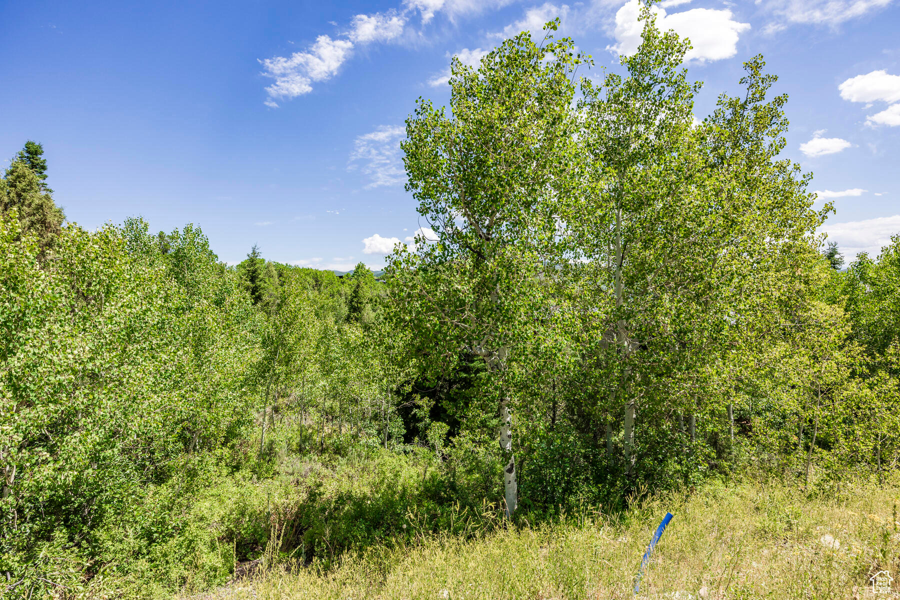 8719 PARLEYS #8, Park City, Utah 84098, ,Land,For sale,PARLEYS,1867381