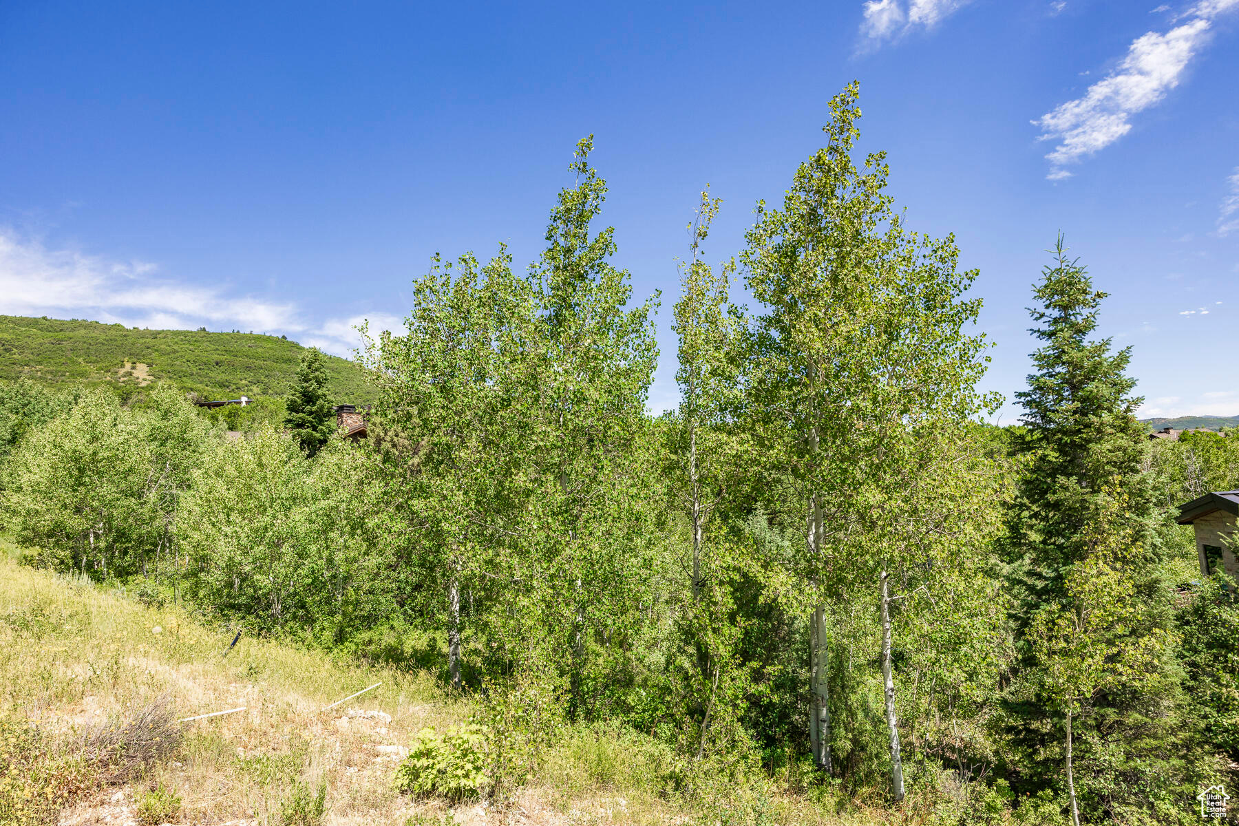 8719 PARLEYS #8, Park City, Utah 84098, ,Land,For sale,PARLEYS,1867381