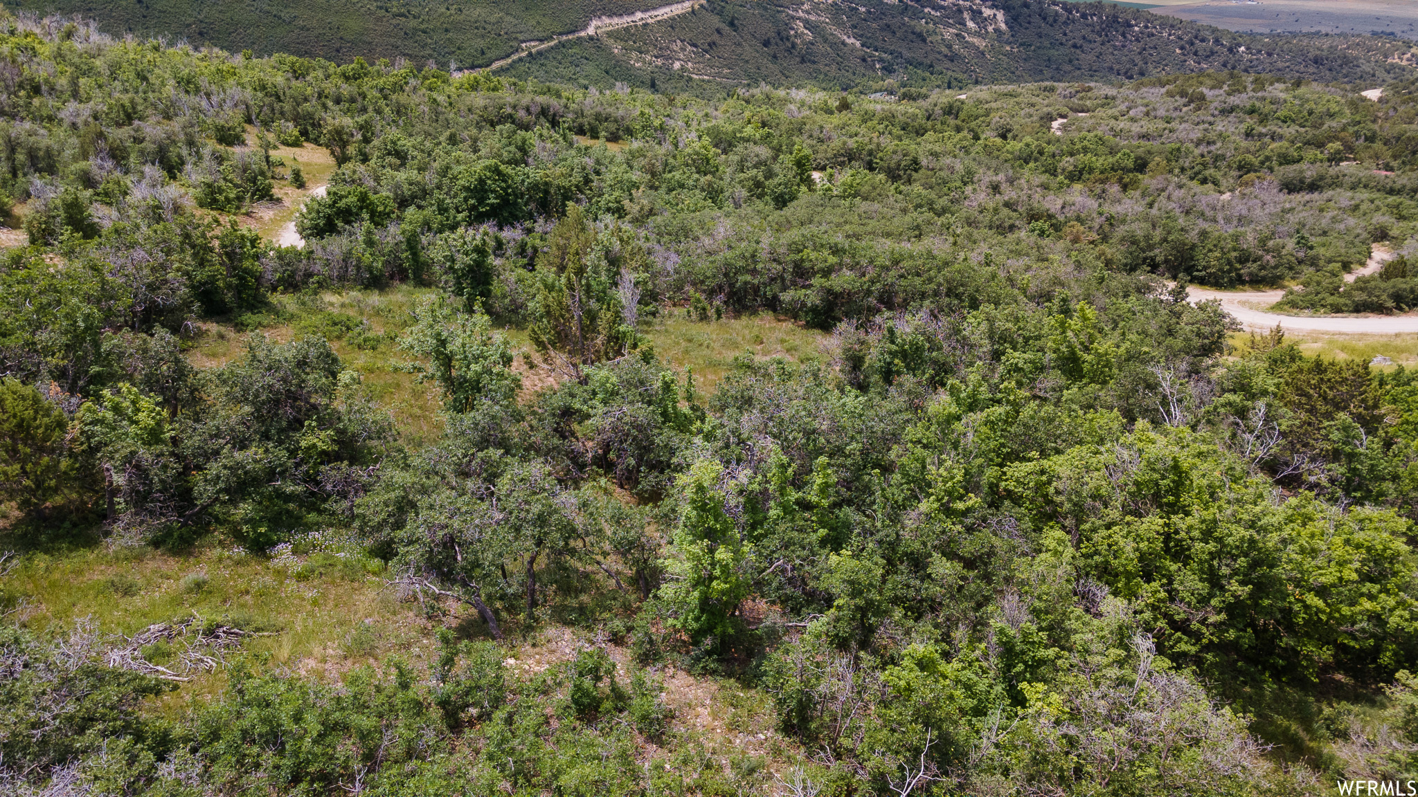 44 HAWTHORN #44, Fairview, Utah 84629, ,Land,For sale,HAWTHORN,1867877