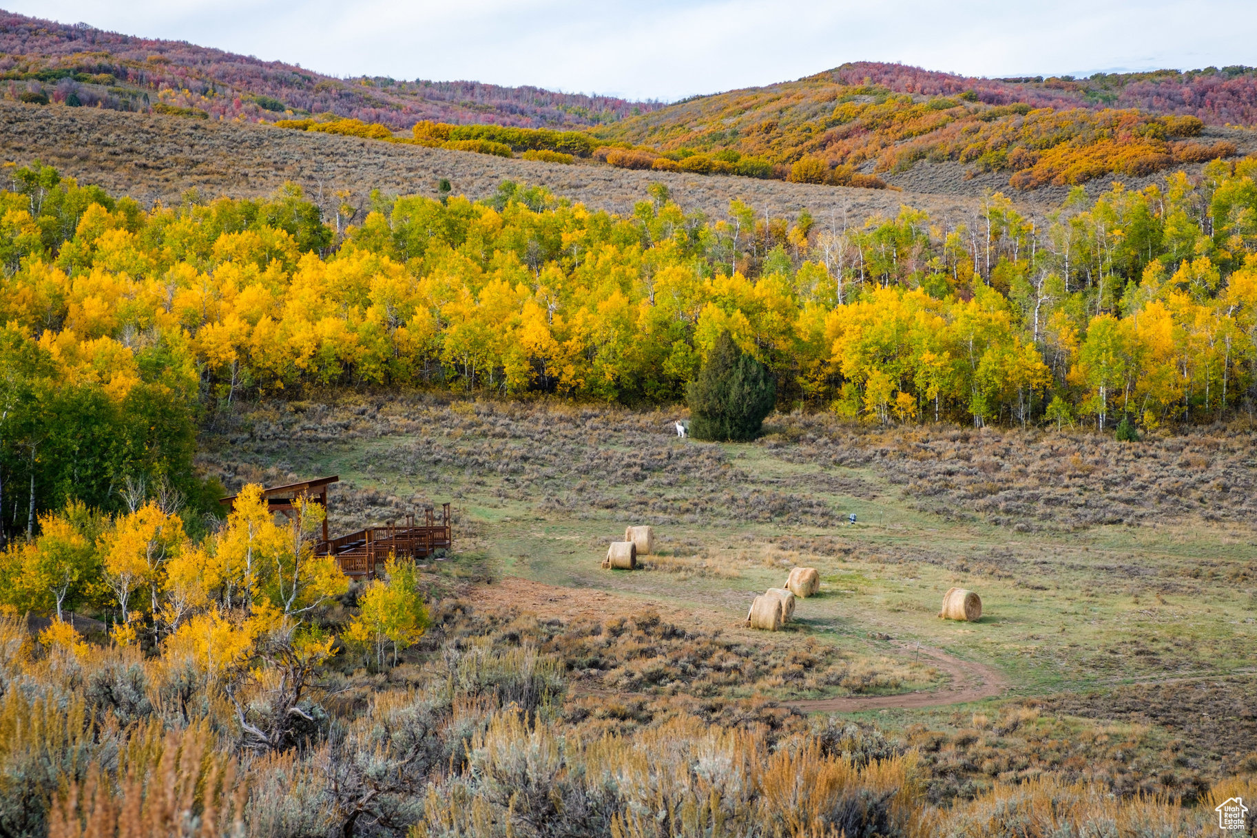 6420 E MAYFLY #64, Heber City, Utah 84032, ,Land,For sale,MAYFLY,1869173