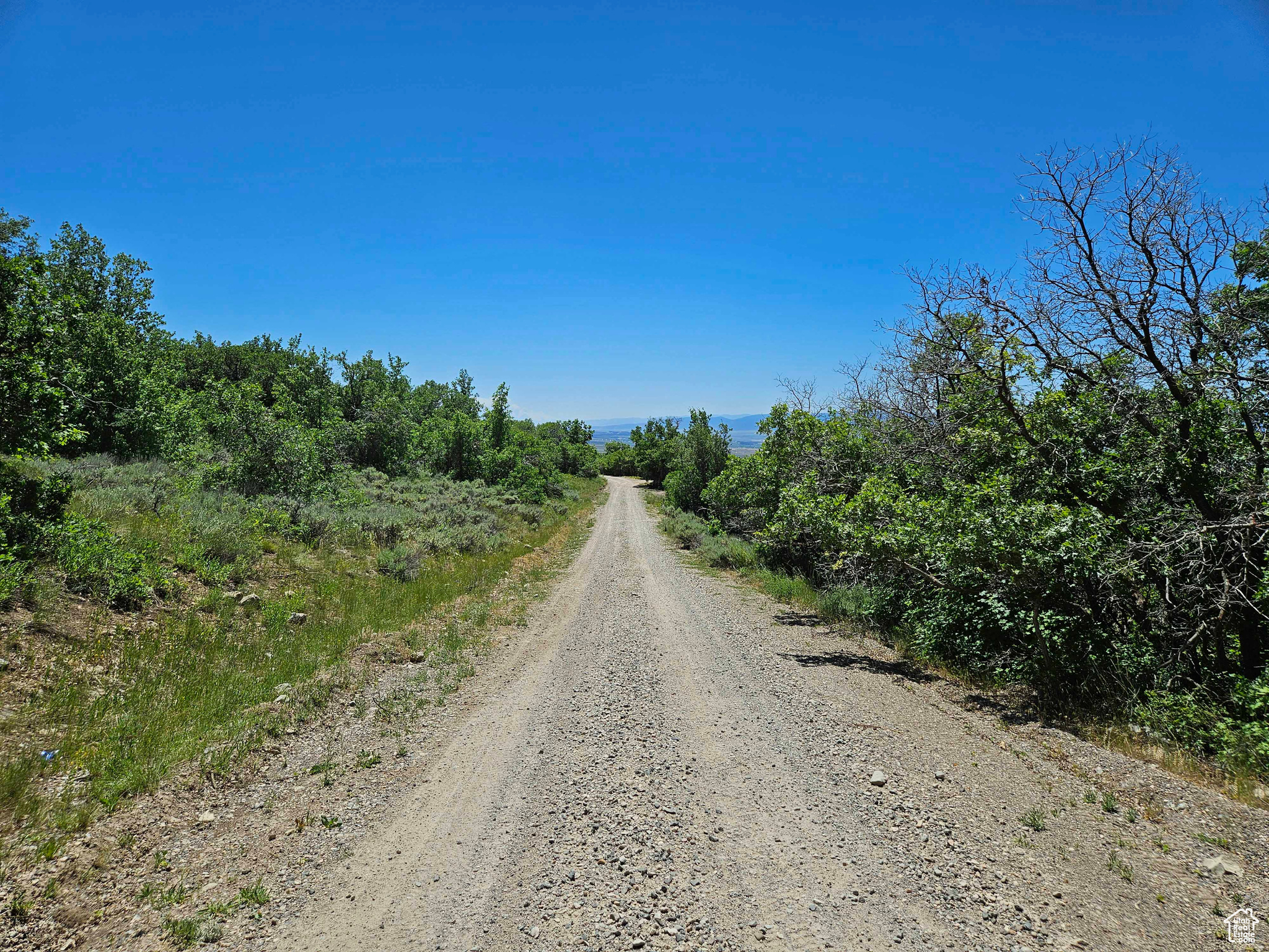 646 E WOLF HOLLOW S #646, Fairview, Utah 84629, ,Land,For sale,WOLF HOLLOW,1872274