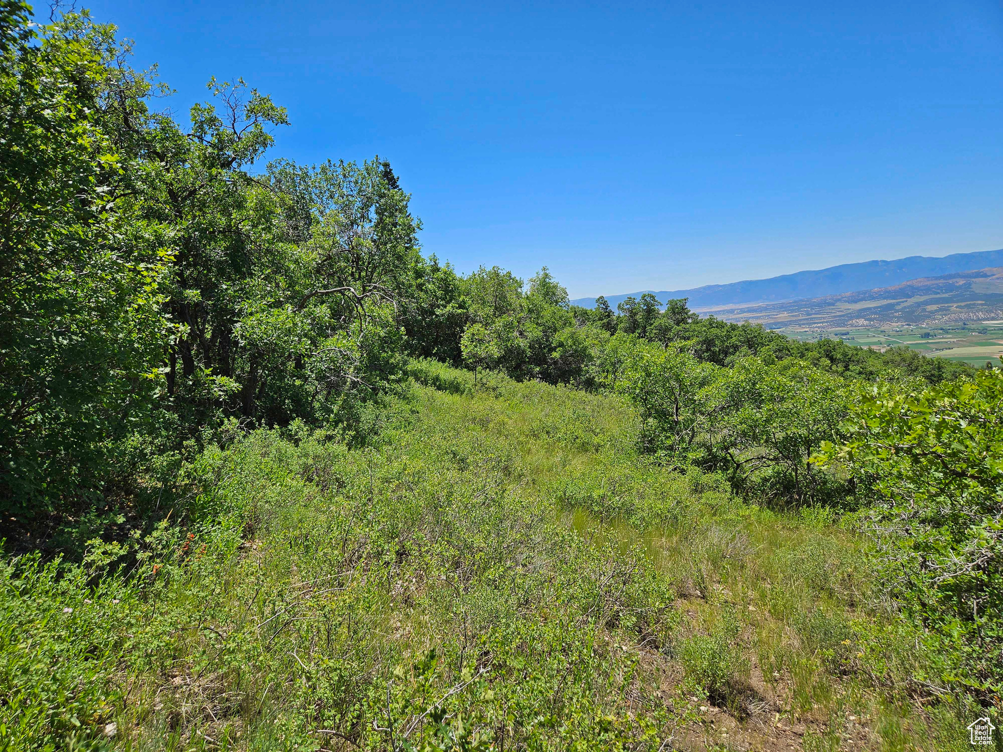 646 E WOLF HOLLOW S #646, Fairview, Utah 84629, ,Land,For sale,WOLF HOLLOW,1872274