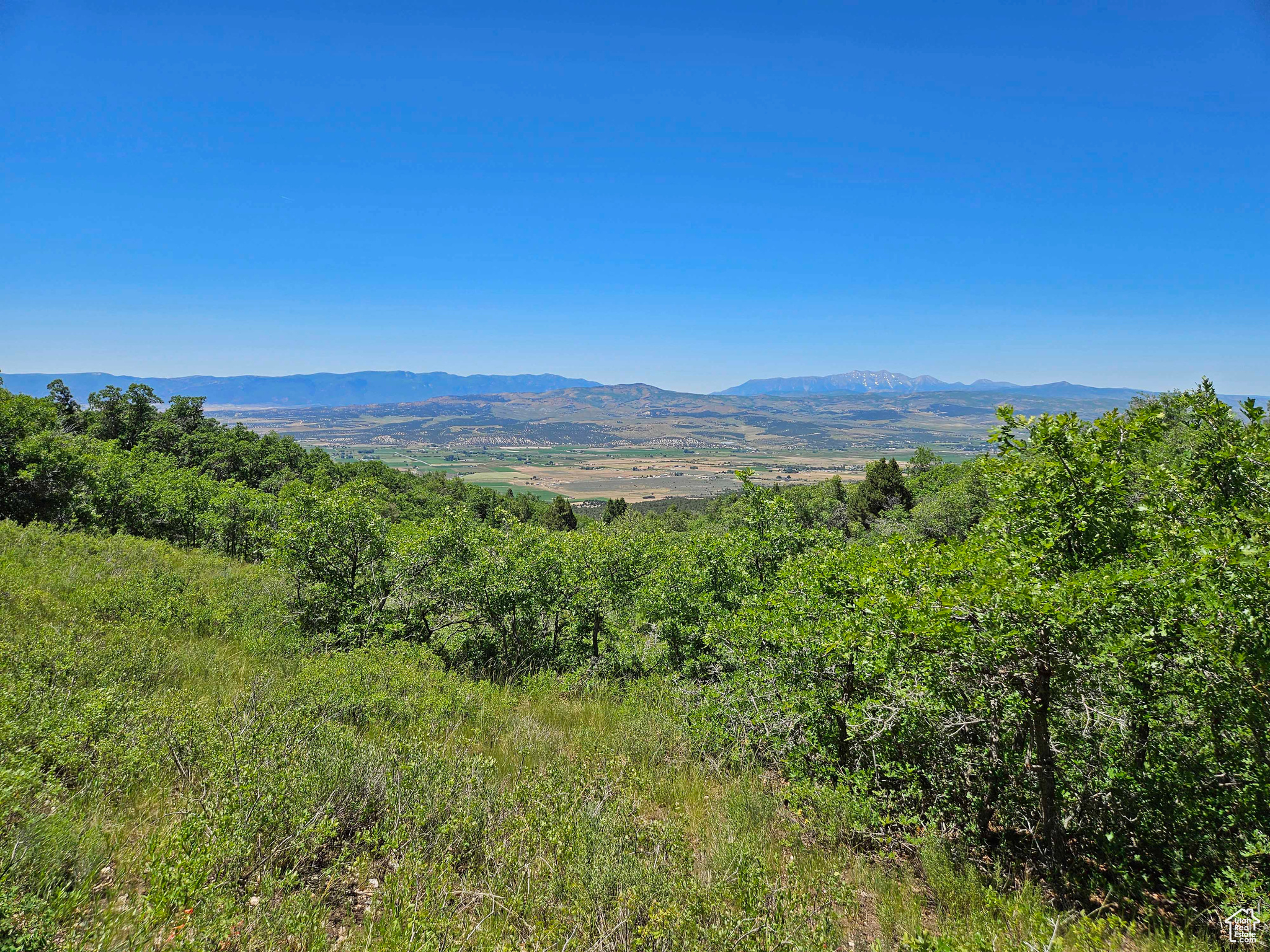 646 E WOLF HOLLOW S #646, Fairview, Utah 84629, ,Land,For sale,WOLF HOLLOW,1872274