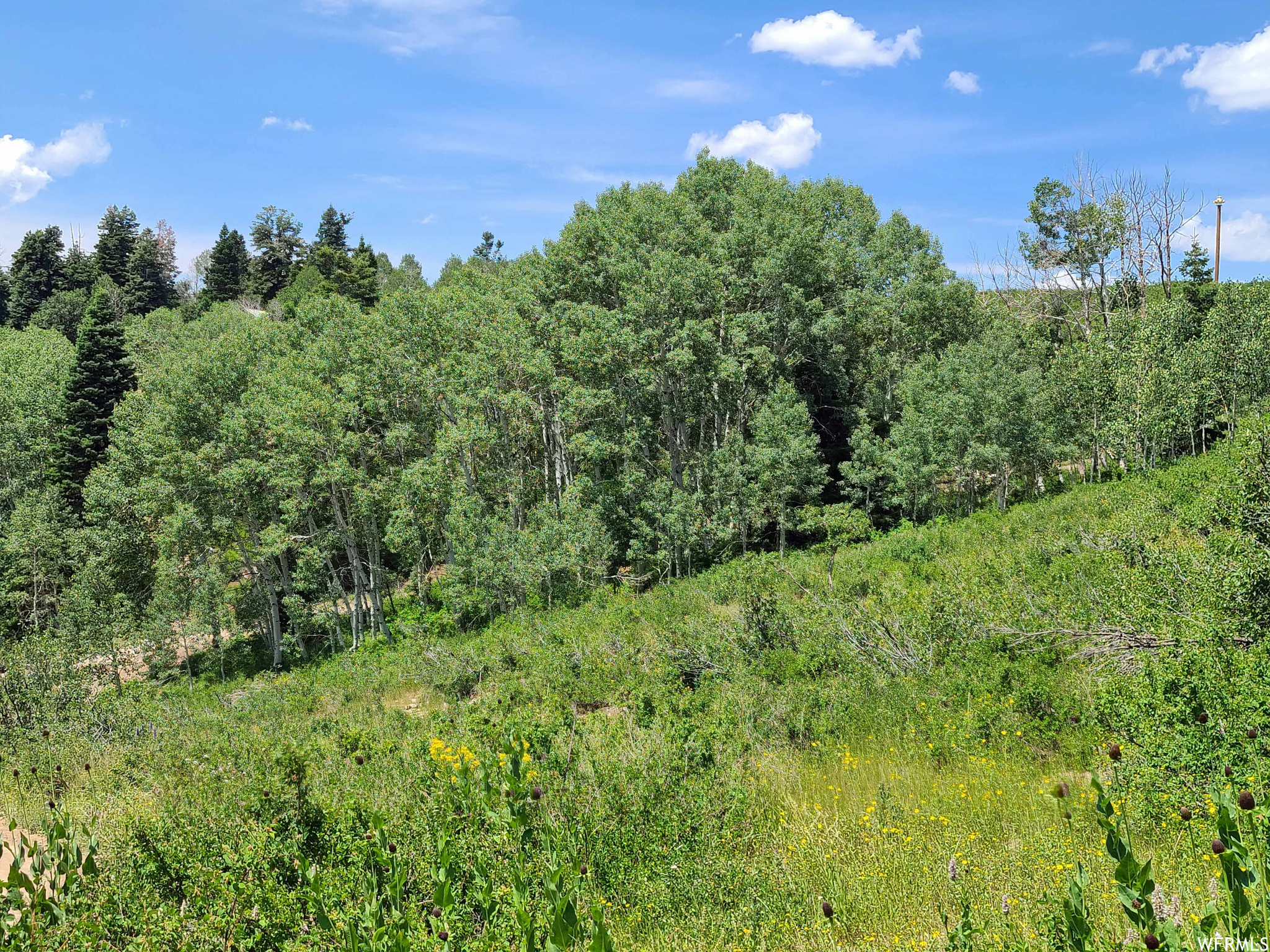 52 E OVER LOOK S #K52, Fairview, Utah 84629, ,Land,For sale,OVER LOOK,1872630