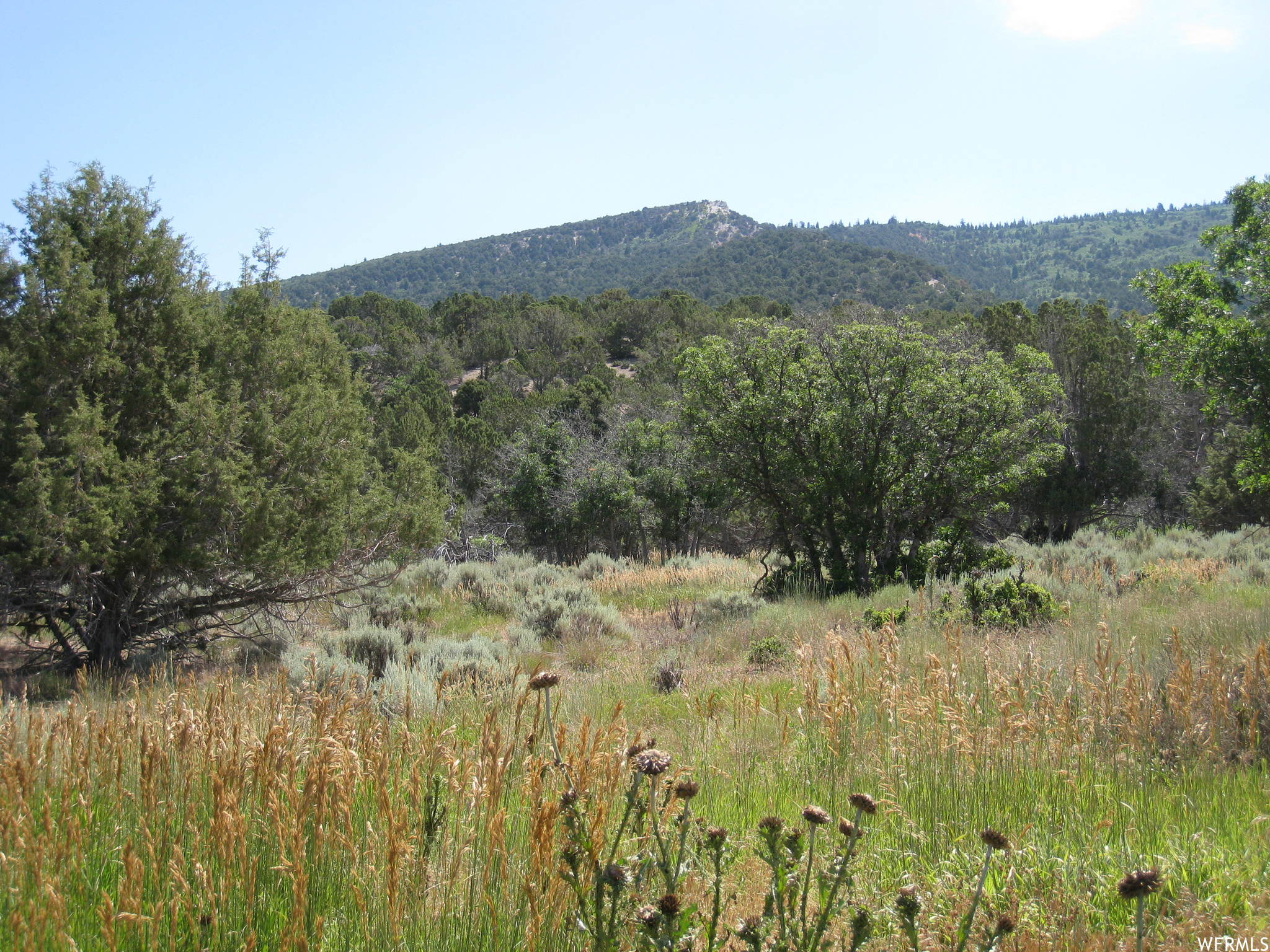 12400 N 9000 E, Spring City, Utah 84662, ,Land,For sale,9000,1874612