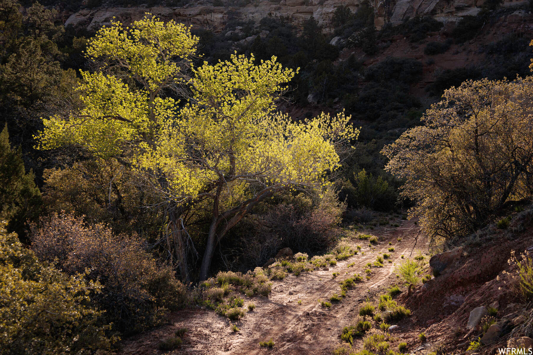 Apple Valley, Utah 84737, ,Land,For sale,1874655