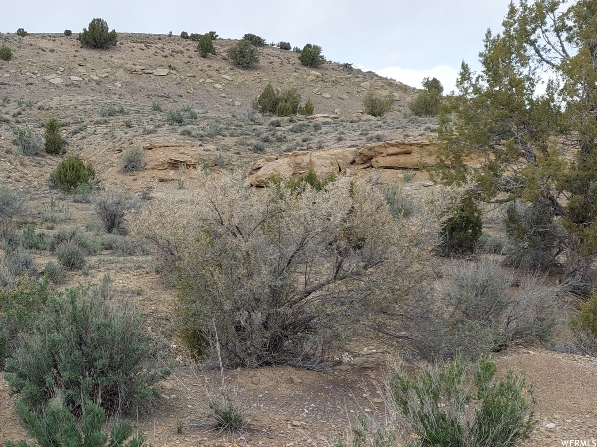 19700 W TOSHAS #5, Duchesne, Utah 84021, ,Land,For sale,TOSHAS,1875418