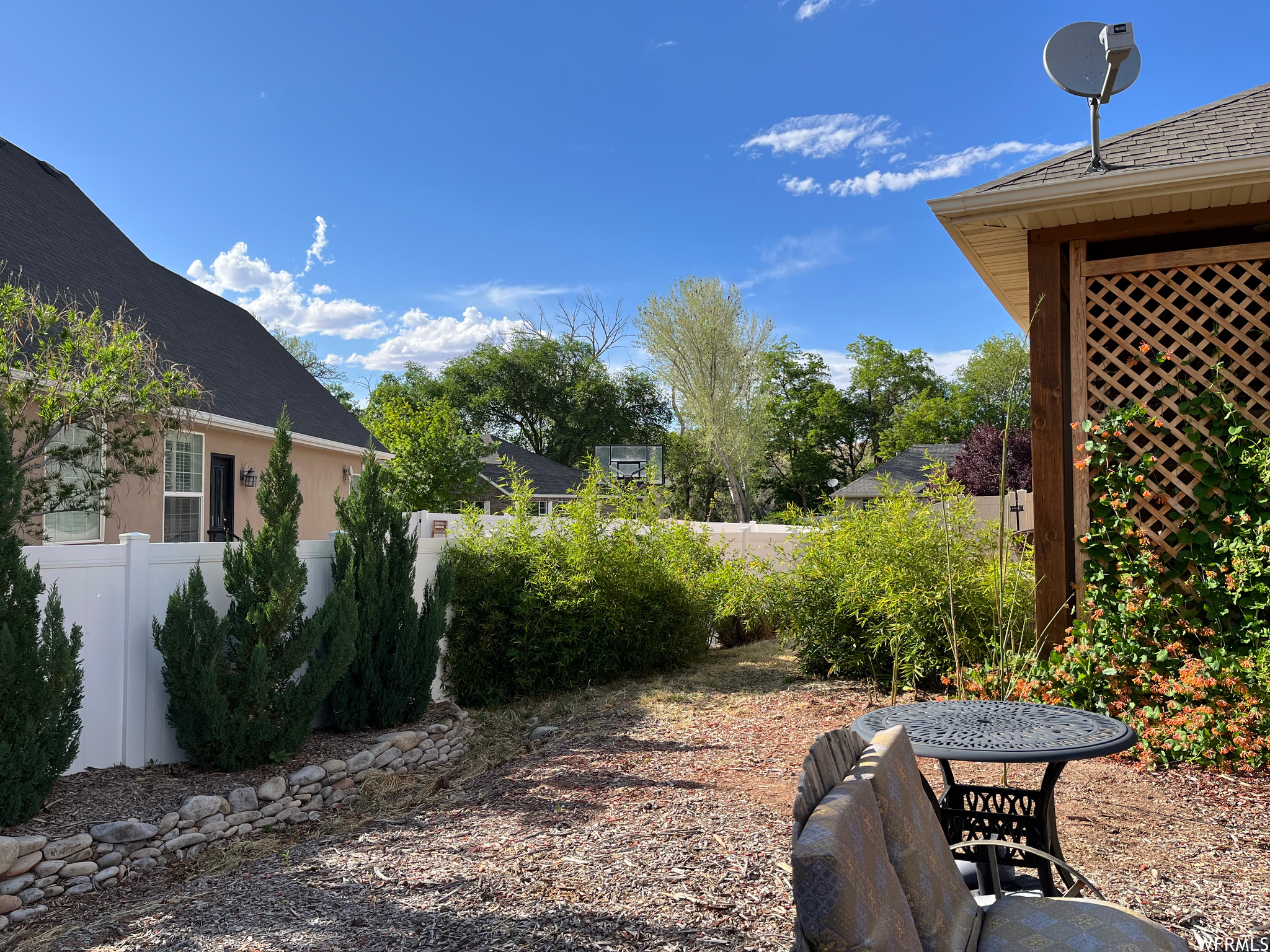 Fence Shrubs strategically growing for privacy