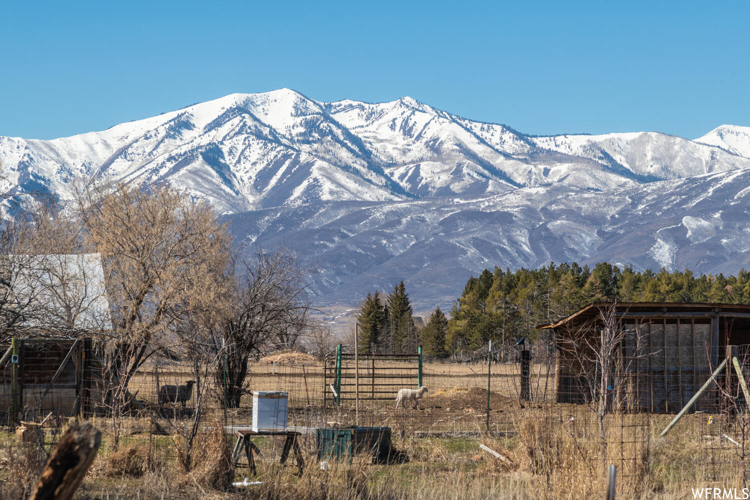 1663 LITTLE SWEDEN, Heber City, Utah 84032, 6 Bedrooms Bedrooms, 17 Rooms Rooms,3 BathroomsBathrooms,Residential,For sale,LITTLE SWEDEN,1882482