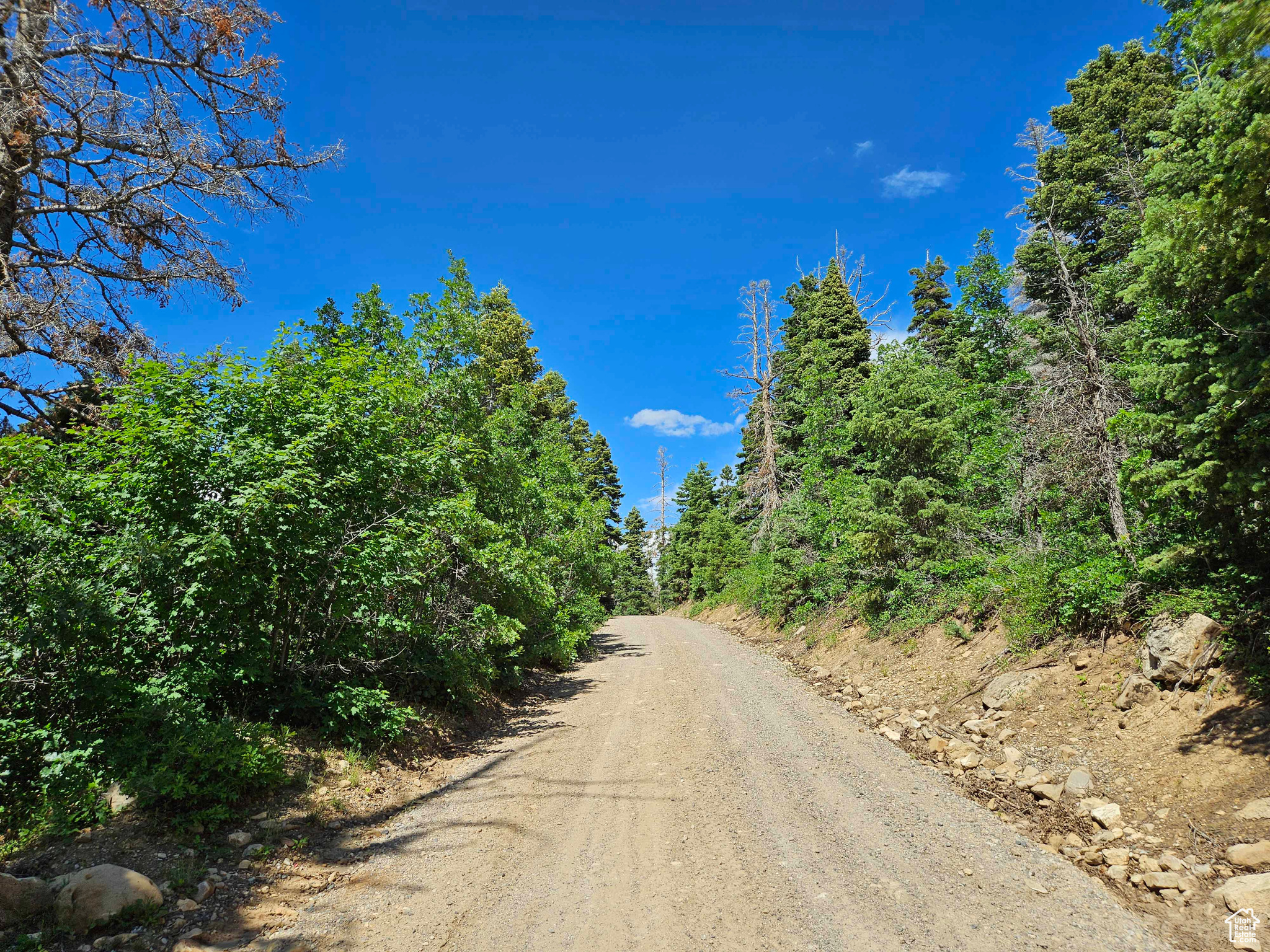 71 S SPRING CITY RANCHEROS ROAD W #71, Mt Pleasant, Utah 84647, ,Land,For sale,SPRING CITY RANCHEROS ROAD,1883287