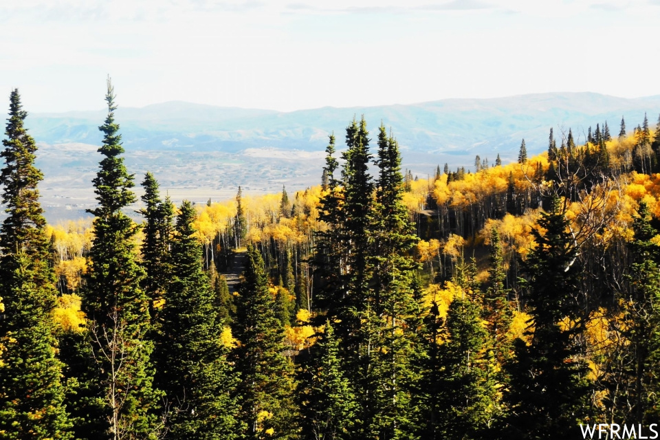 147 WHITE PINE CANYON, Park City, Utah 84060, 8 Bedrooms Bedrooms, 34 Rooms Rooms,8 BathroomsBathrooms,Residential,For sale,WHITE PINE CANYON,1883528