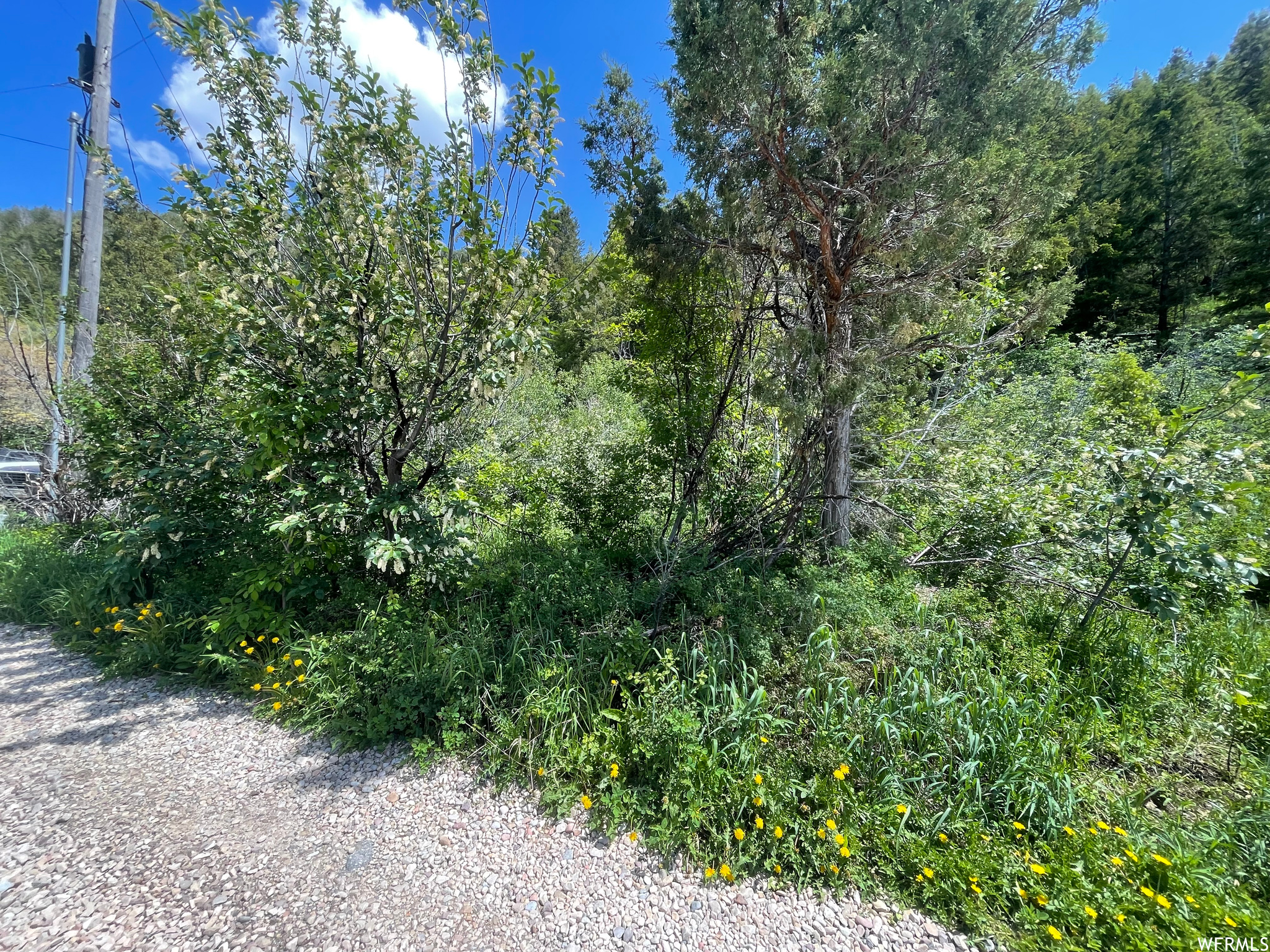 3716 E CHOKECHERRY S, Kamas, Utah 84036, ,Land,For sale,CHOKECHERRY,1883821