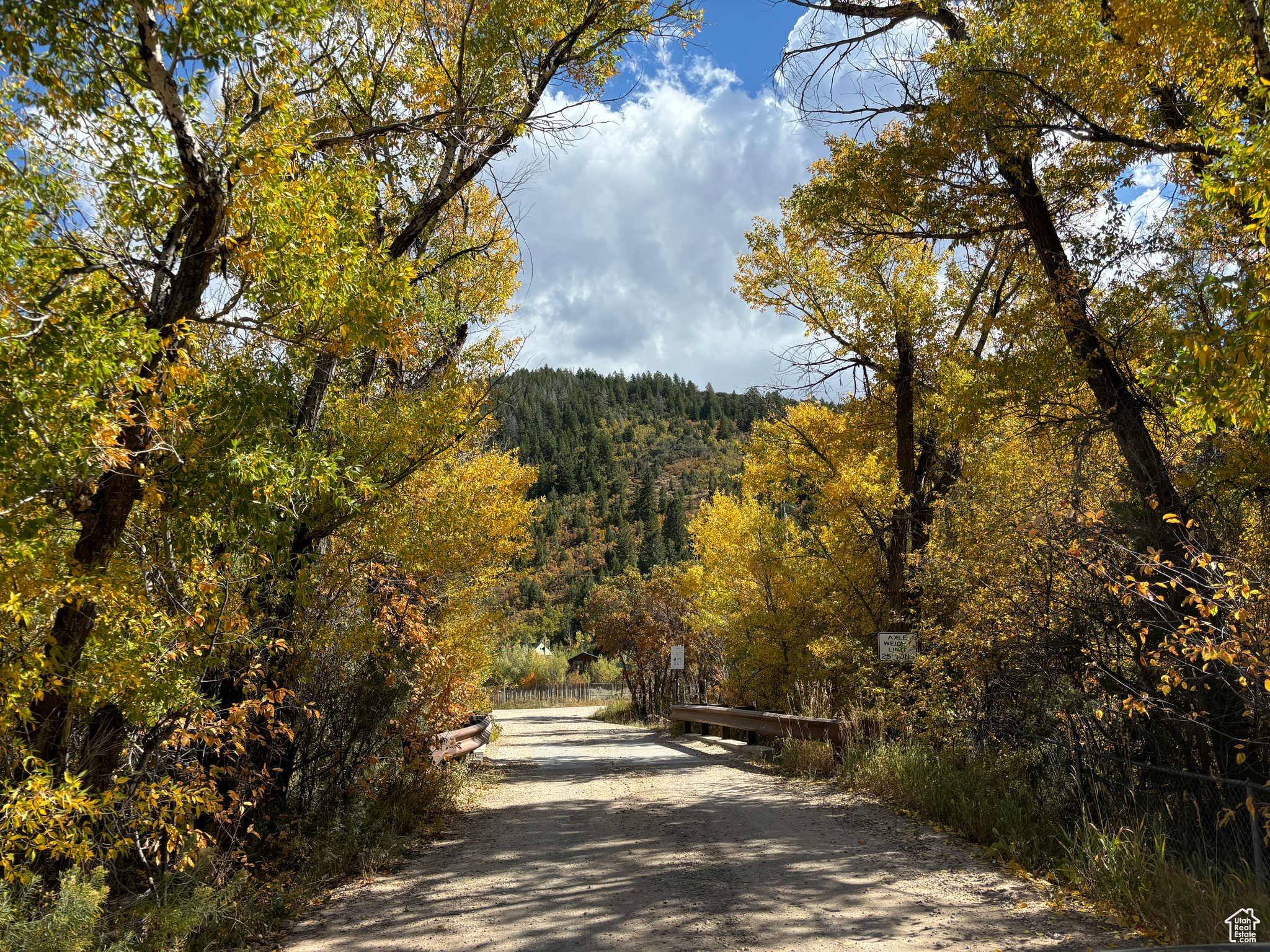 View on the drive in to property. road is maintained in the winter. Approximately .5 mile off of Mirror Lake Highway.