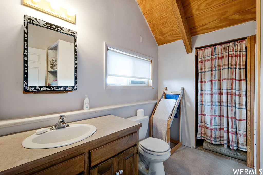 Bathroom with natural light, mirror, shower curtain, toilet, and vanity
