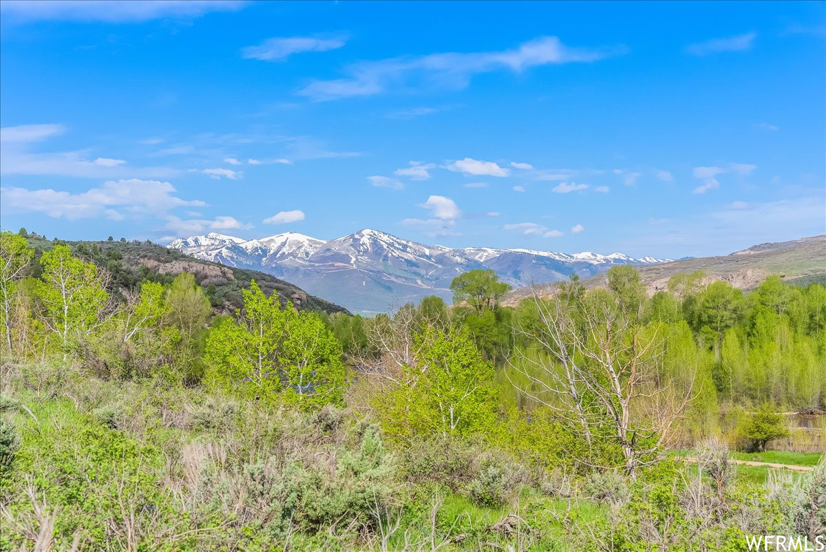 5985 E GREEN DRAKE, Heber City, Utah 84032, ,Land,For sale,GREEN DRAKE,1885180