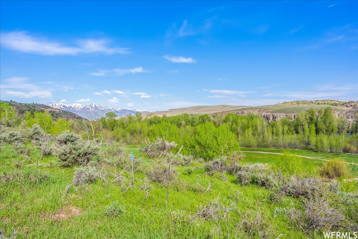 5985 E GREEN DRAKE, Heber City, Utah 84032, ,Land,For sale,GREEN DRAKE,1885180