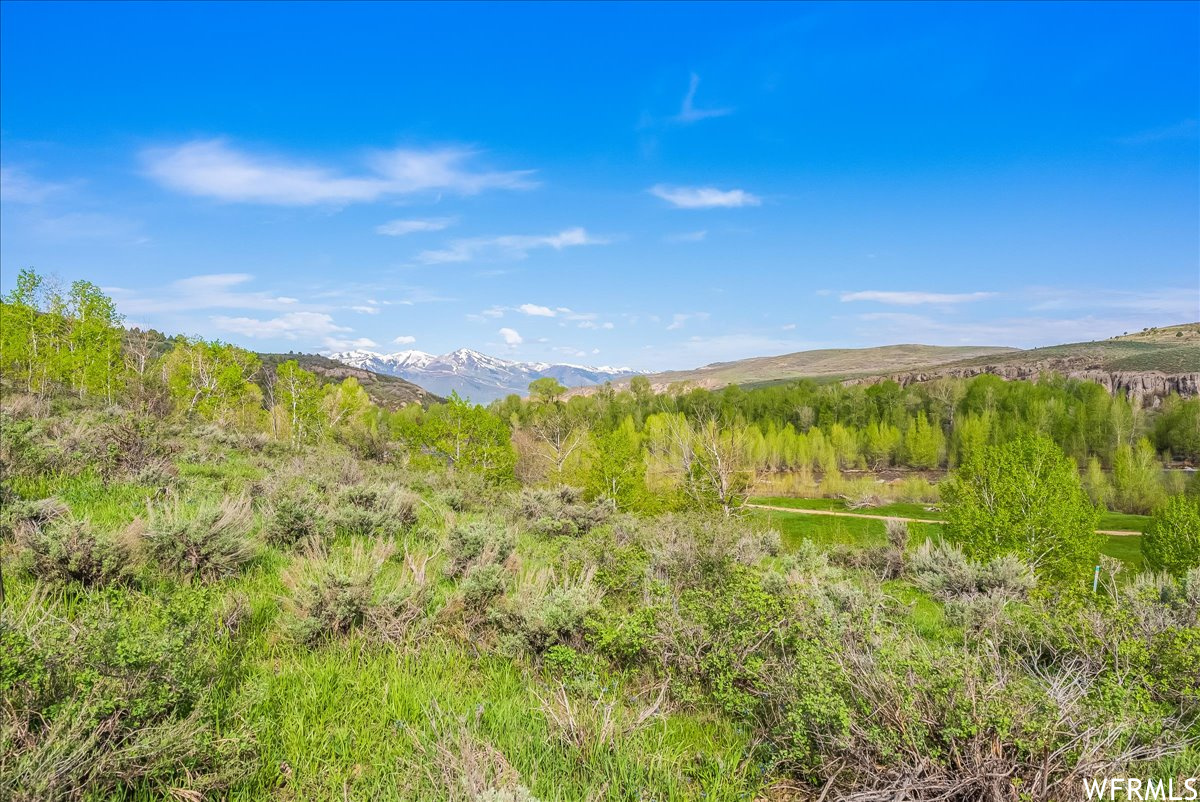 5985 E GREEN DRAKE, Heber City, Utah 84032, ,Land,For sale,GREEN DRAKE,1885180