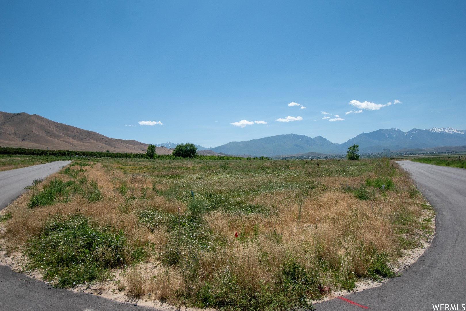 2174 N YORK #5, Genola, Utah 84655, ,Land,For sale,YORK,1885531