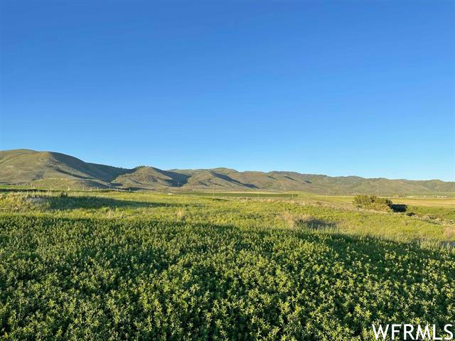 0 WILLOW, Soda Springs, Idaho 83276, ,Land,For sale,WILLOW,1885553