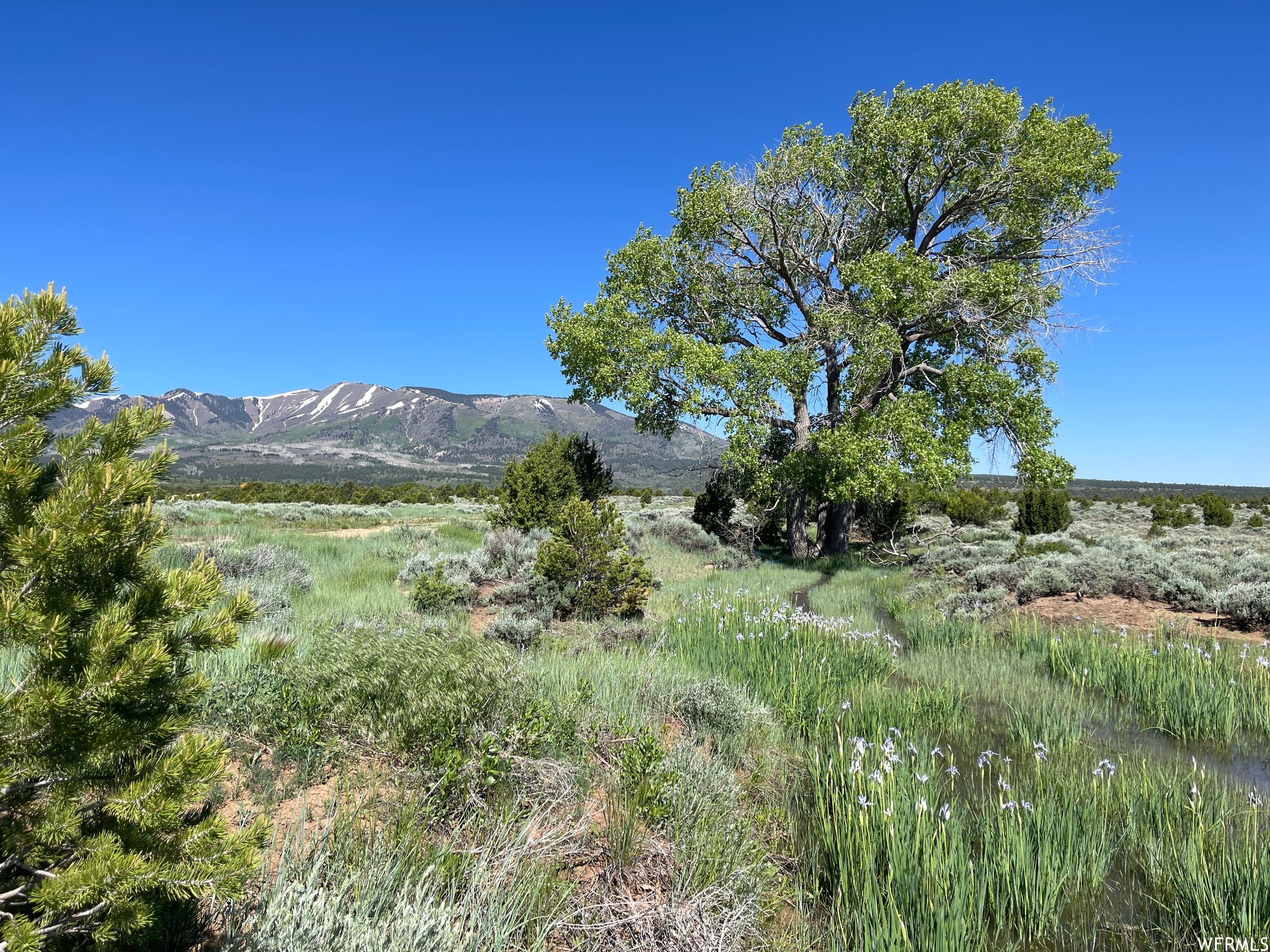 View of mountain feature