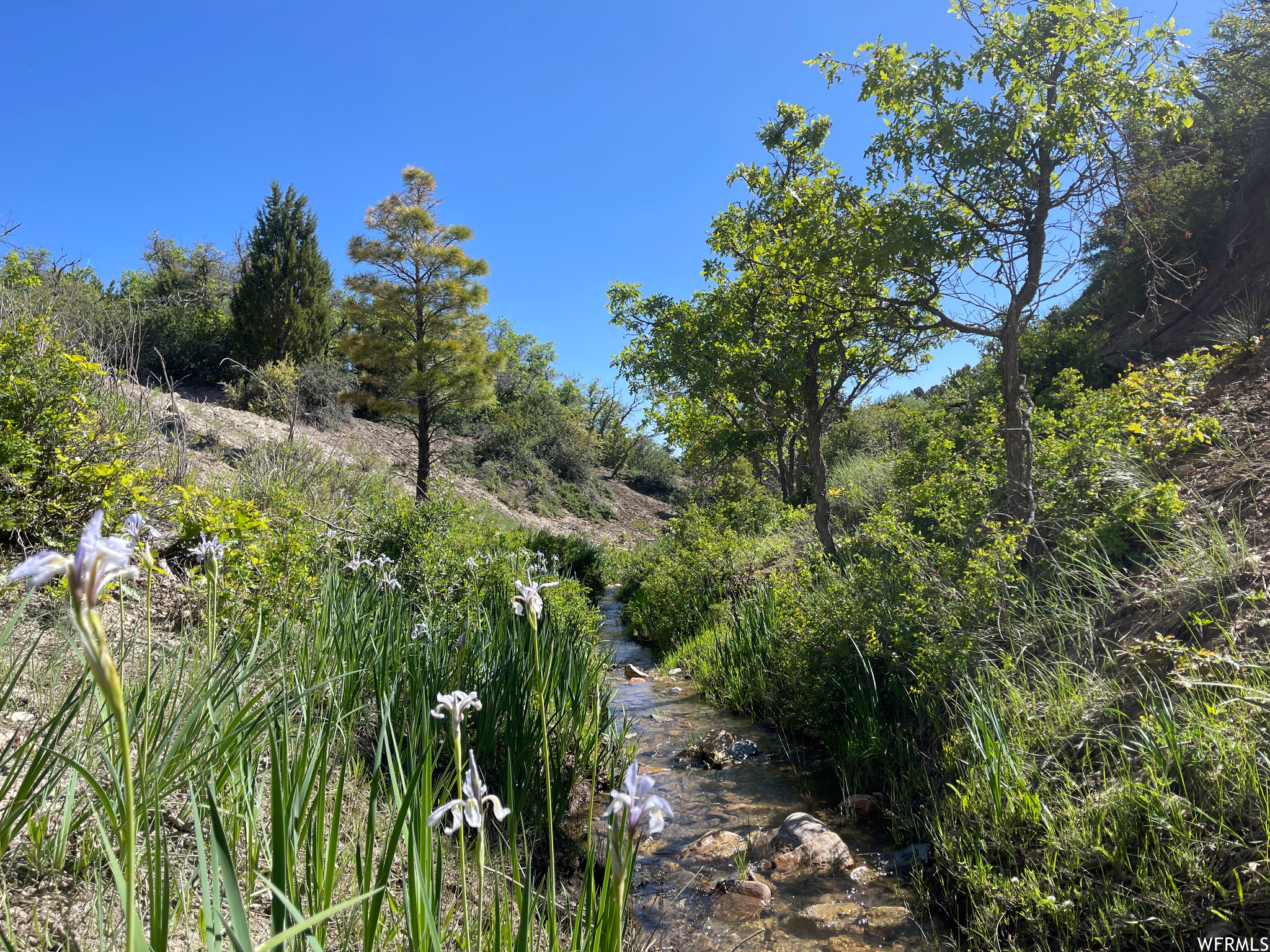 View of nature featuring a water view