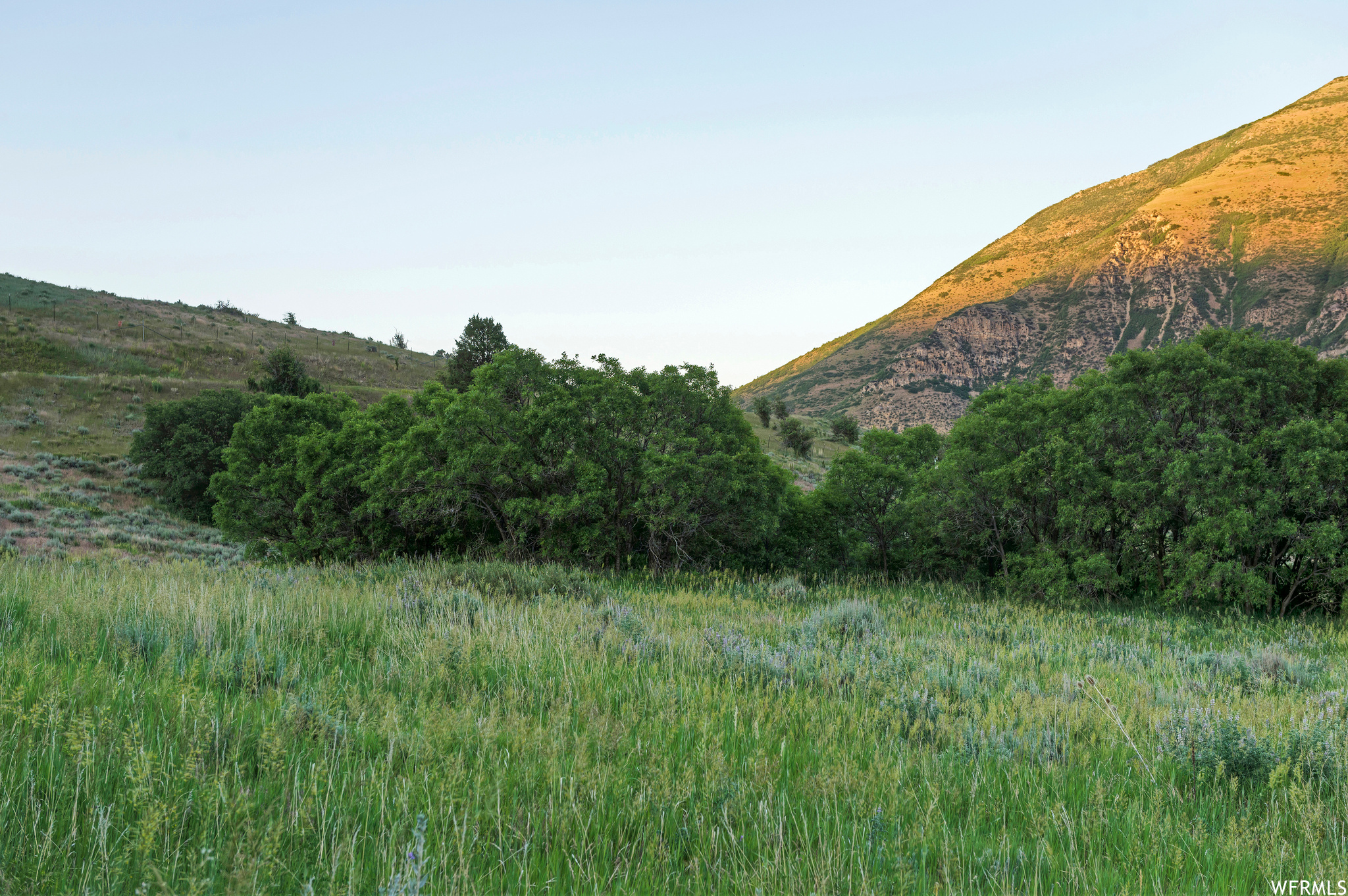 9037 S MEADOW #A5, Provo Canyon, Utah 84604, ,Land,For sale,MEADOW,1888842