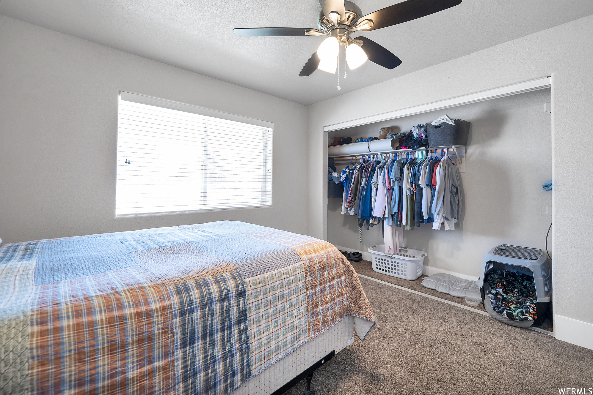 Bedroom with natural light, a ceiling fan, and carpet