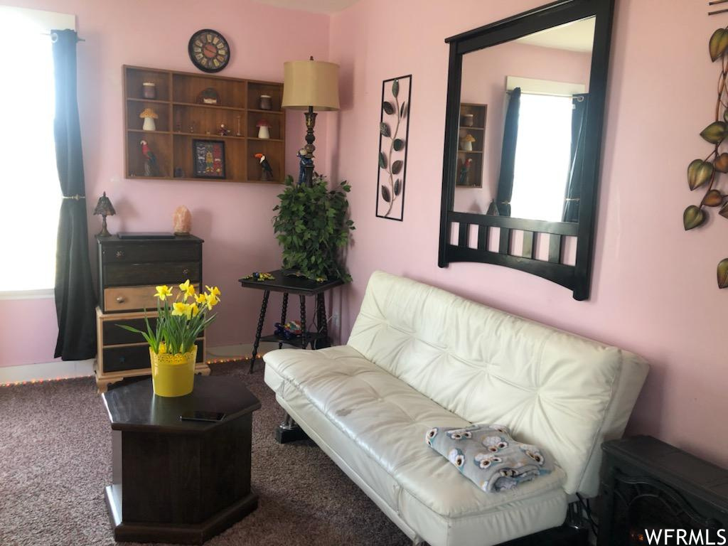 Living room with carpet floors