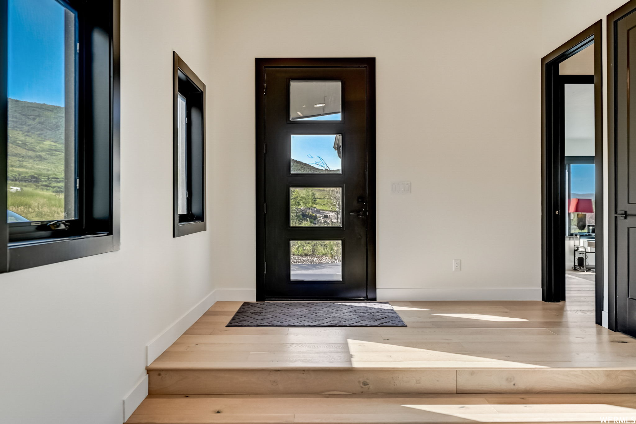 Foyer entrance featuring light hardwood / wood-style floors