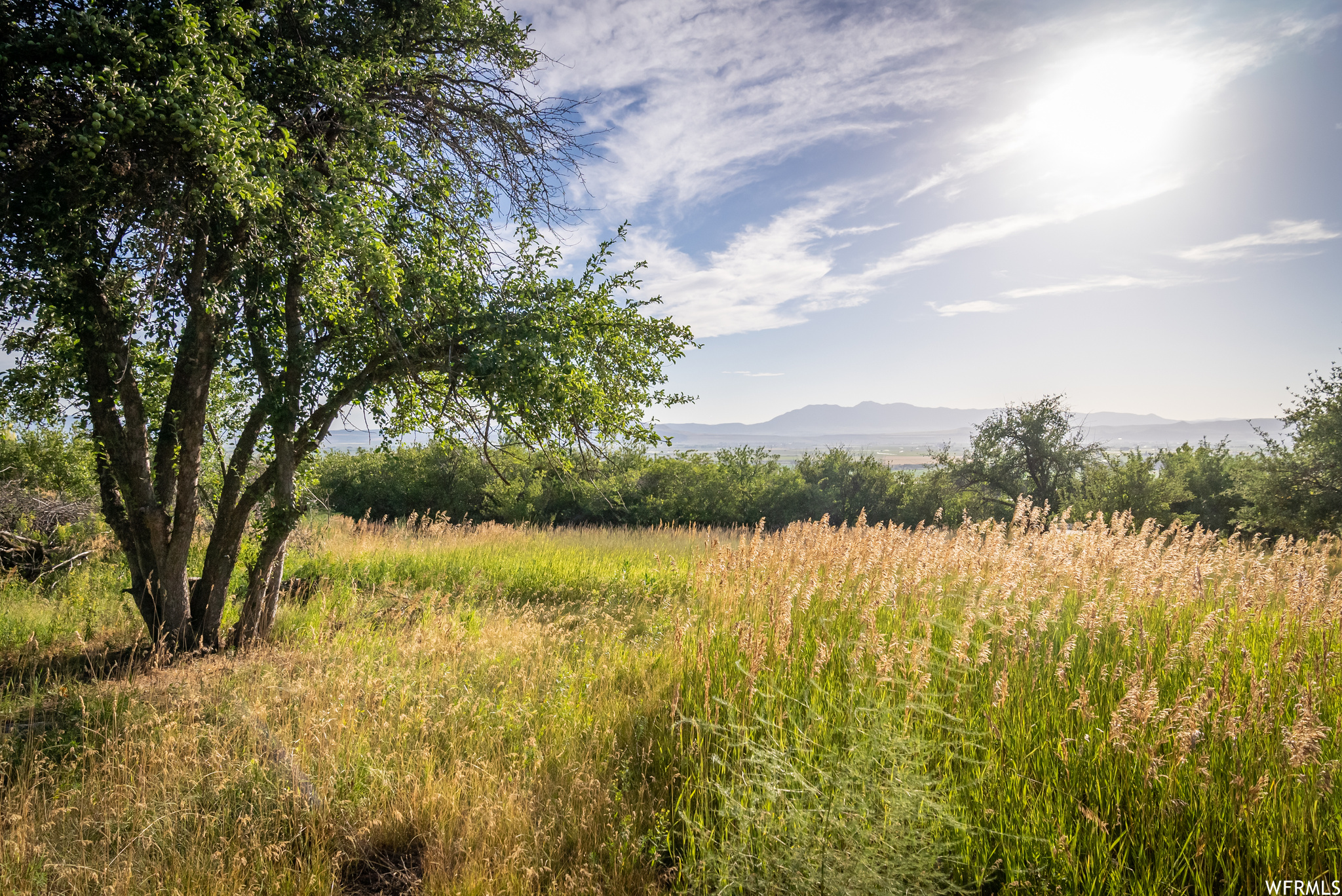 658 CHERRY #2, Richmond, Utah 84333, ,Land,For sale,CHERRY,1891314