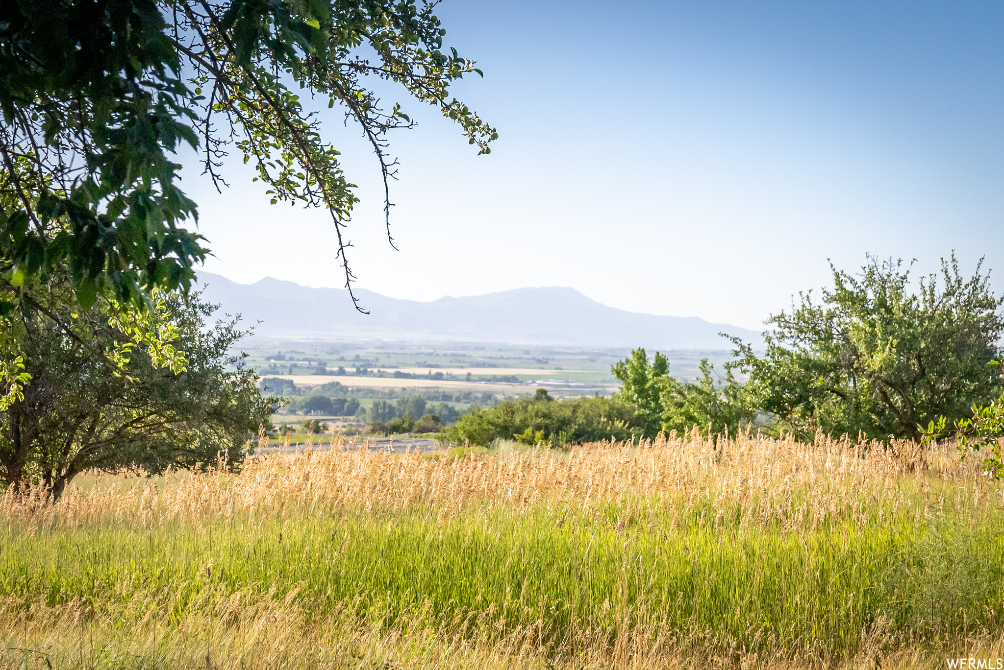 658 CHERRY #2, Richmond, Utah 84333, ,Land,For sale,CHERRY,1891314