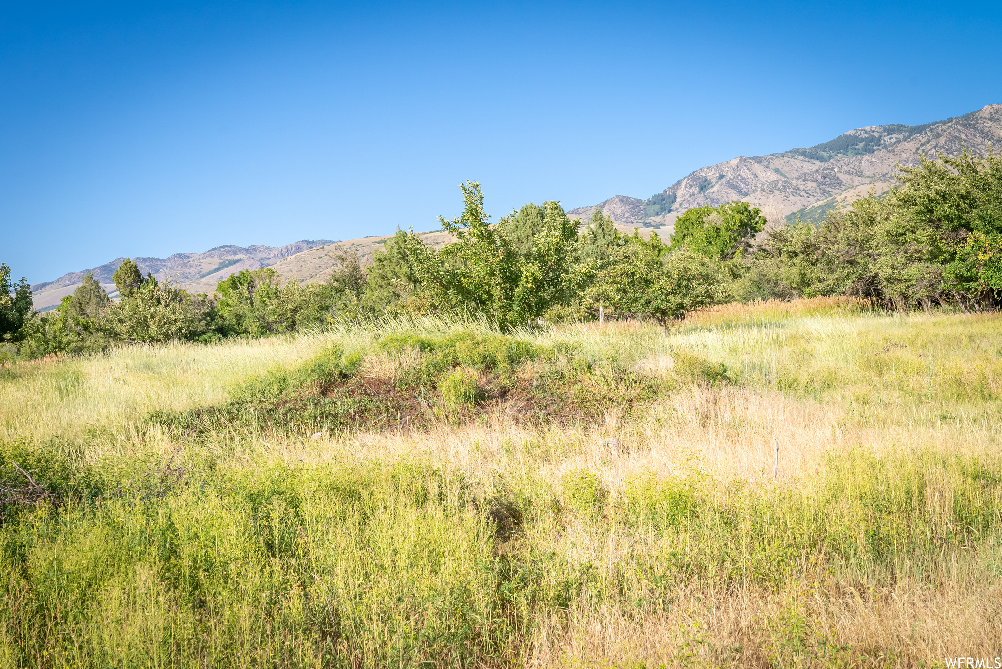 658 CHERRY #2, Richmond, Utah 84333, ,Land,For sale,CHERRY,1891314