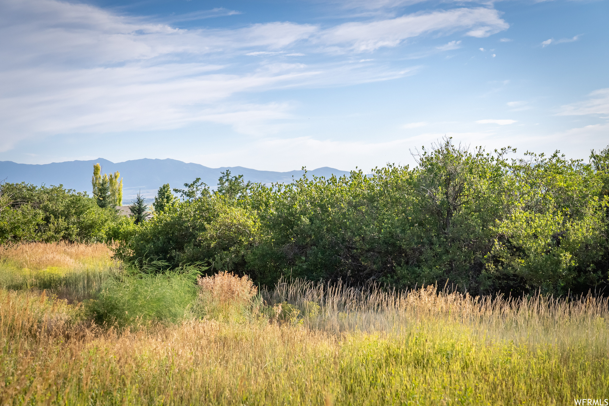 658 CHERRY #2, Richmond, Utah 84333, ,Land,For sale,CHERRY,1891314