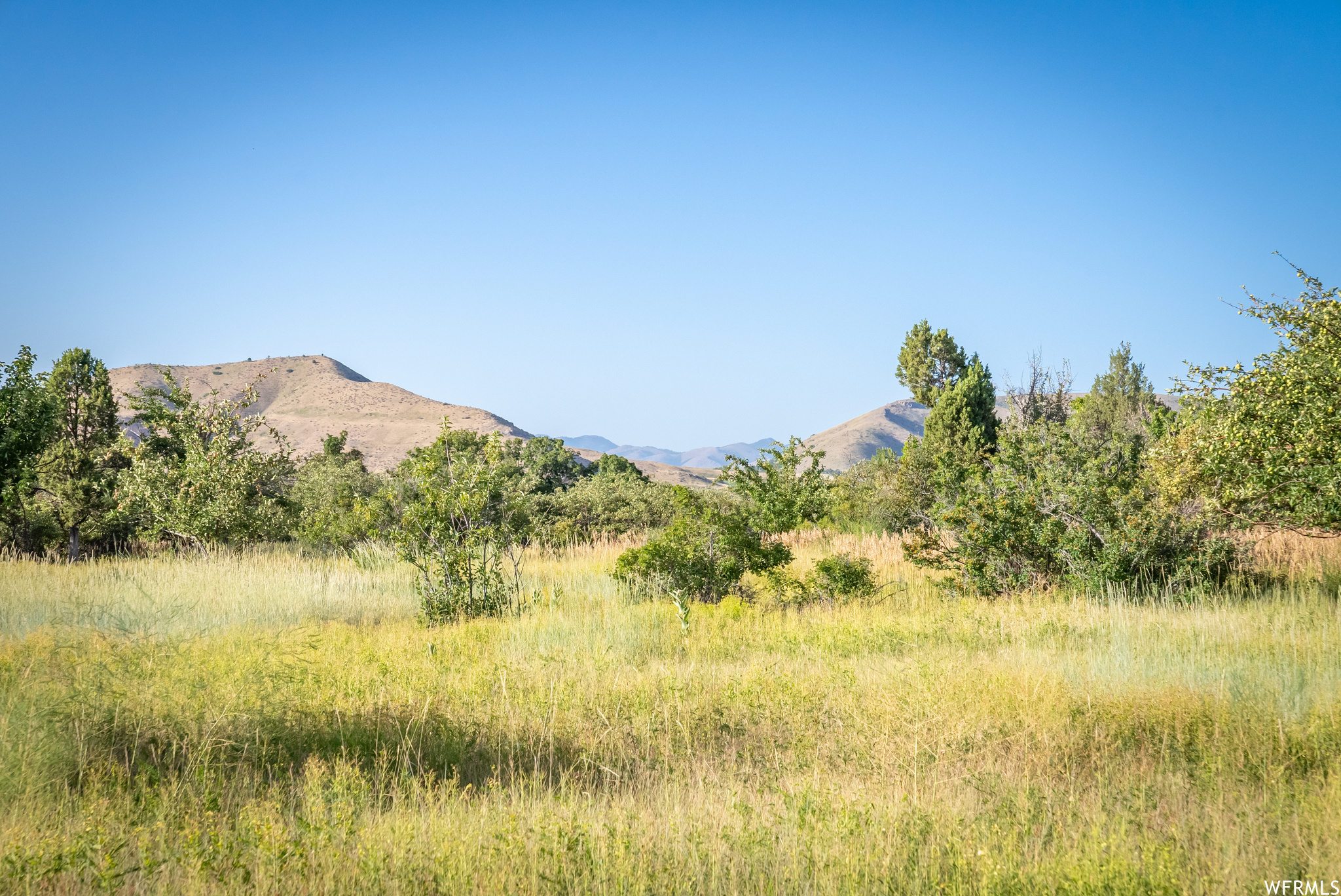 658 CHERRY #2, Richmond, Utah 84333, ,Land,For sale,CHERRY,1891314