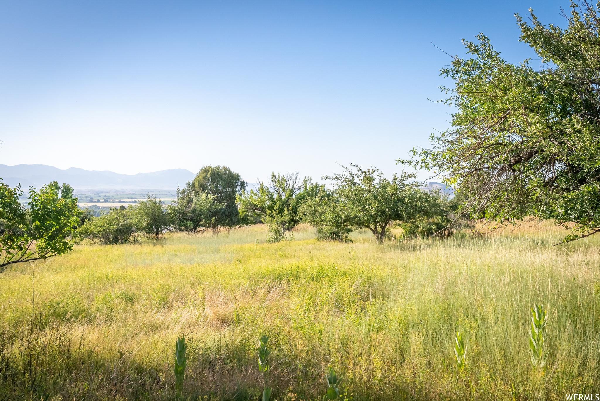 658 CHERRY #2, Richmond, Utah 84333, ,Land,For sale,CHERRY,1891314