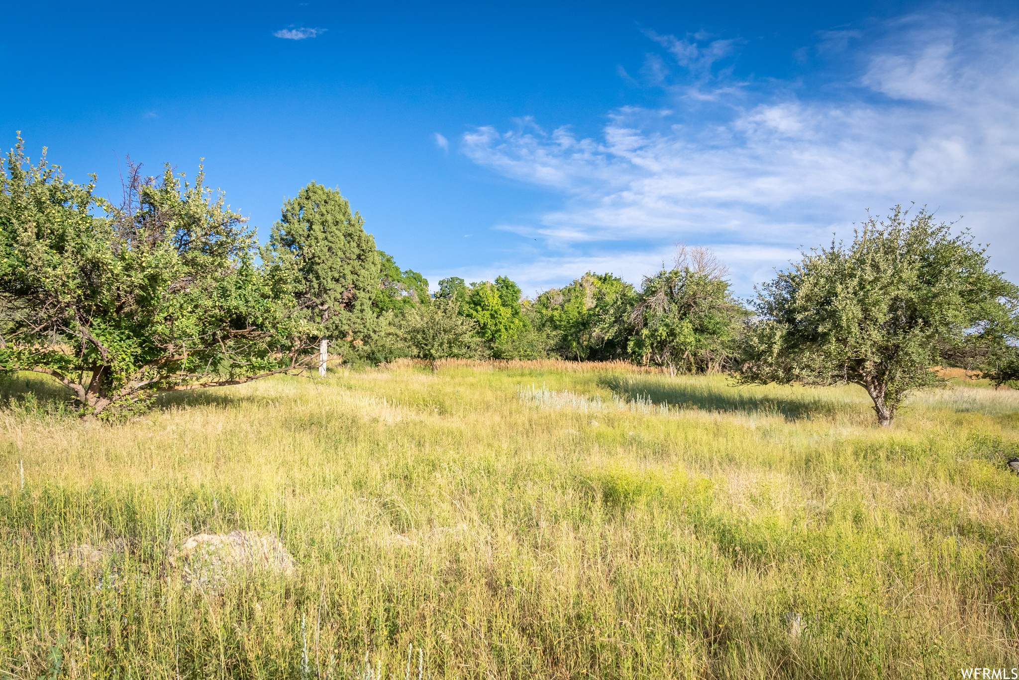 658 CHERRY #2, Richmond, Utah 84333, ,Land,For sale,CHERRY,1891314