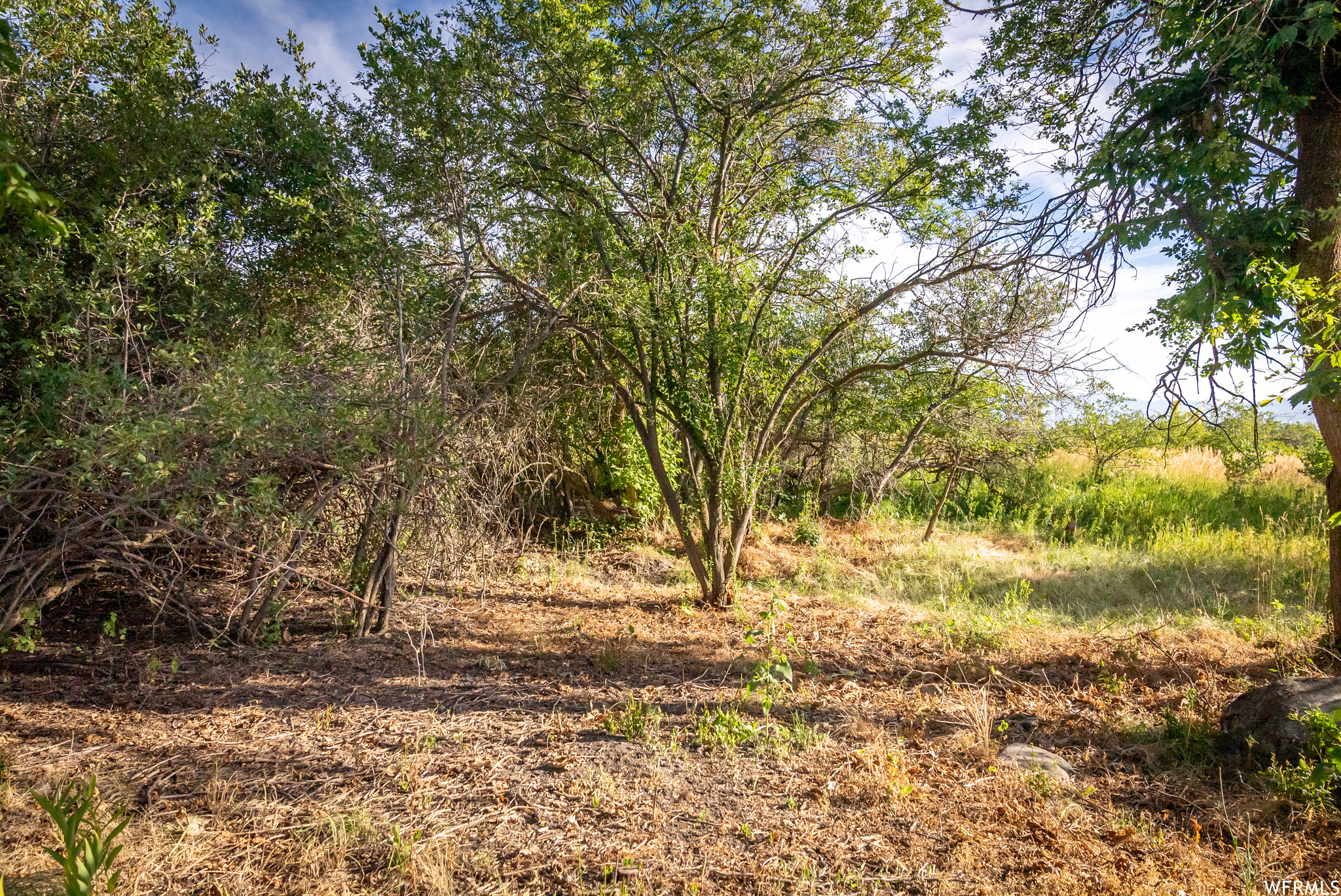 658 CHERRY #2, Richmond, Utah 84333, ,Land,For sale,CHERRY,1891314