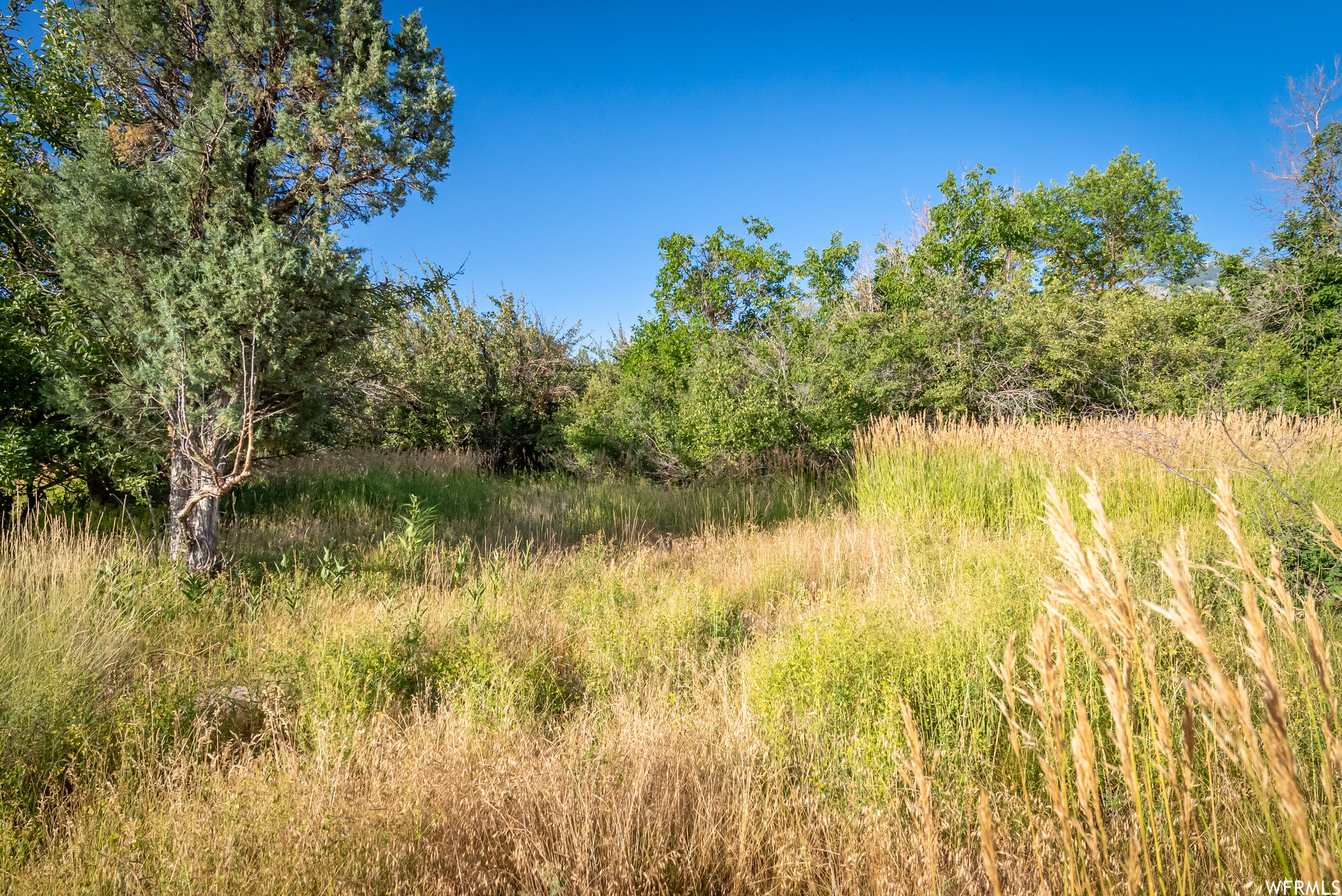 658 CHERRY #2, Richmond, Utah 84333, ,Land,For sale,CHERRY,1891314