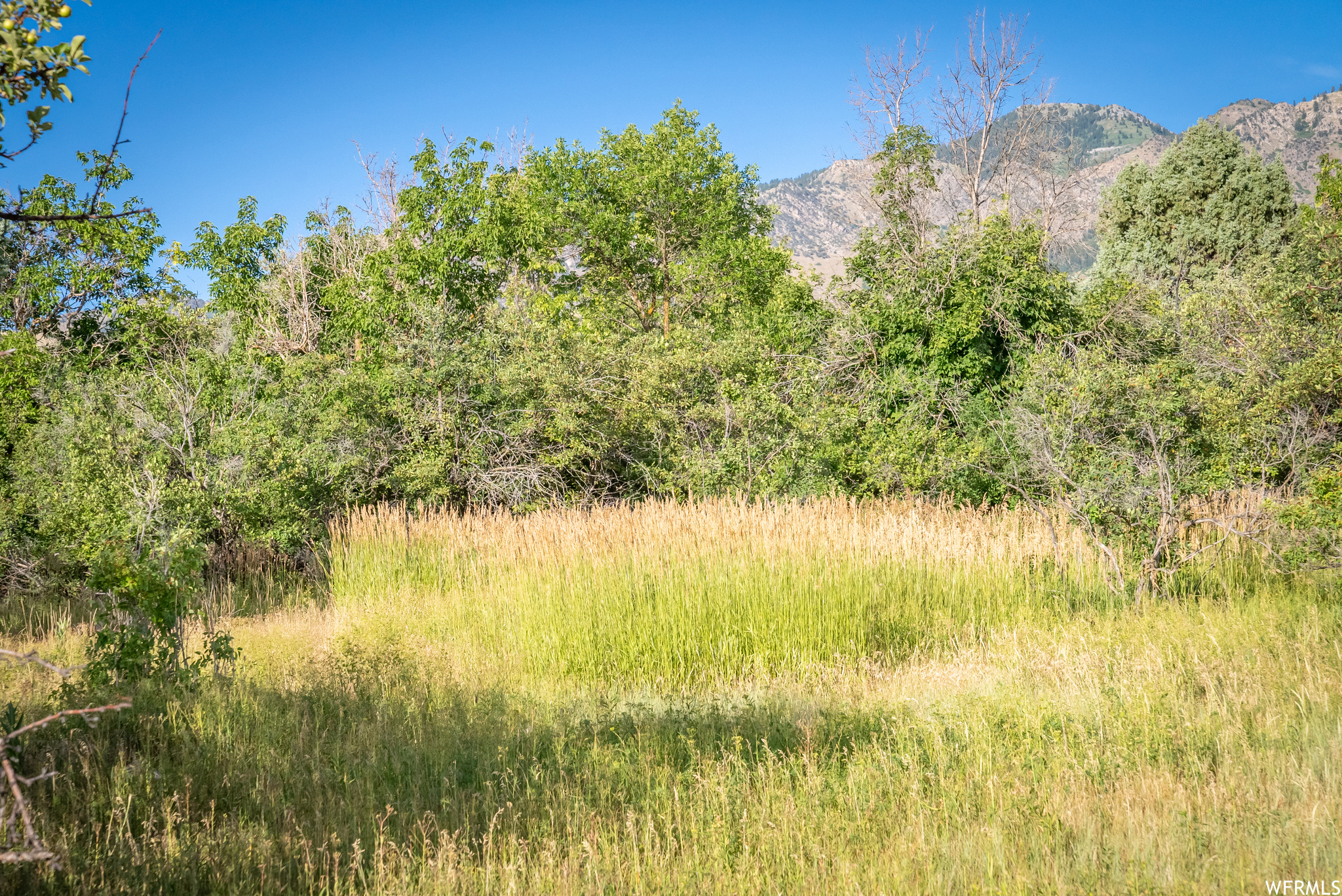 658 CHERRY #2, Richmond, Utah 84333, ,Land,For sale,CHERRY,1891314