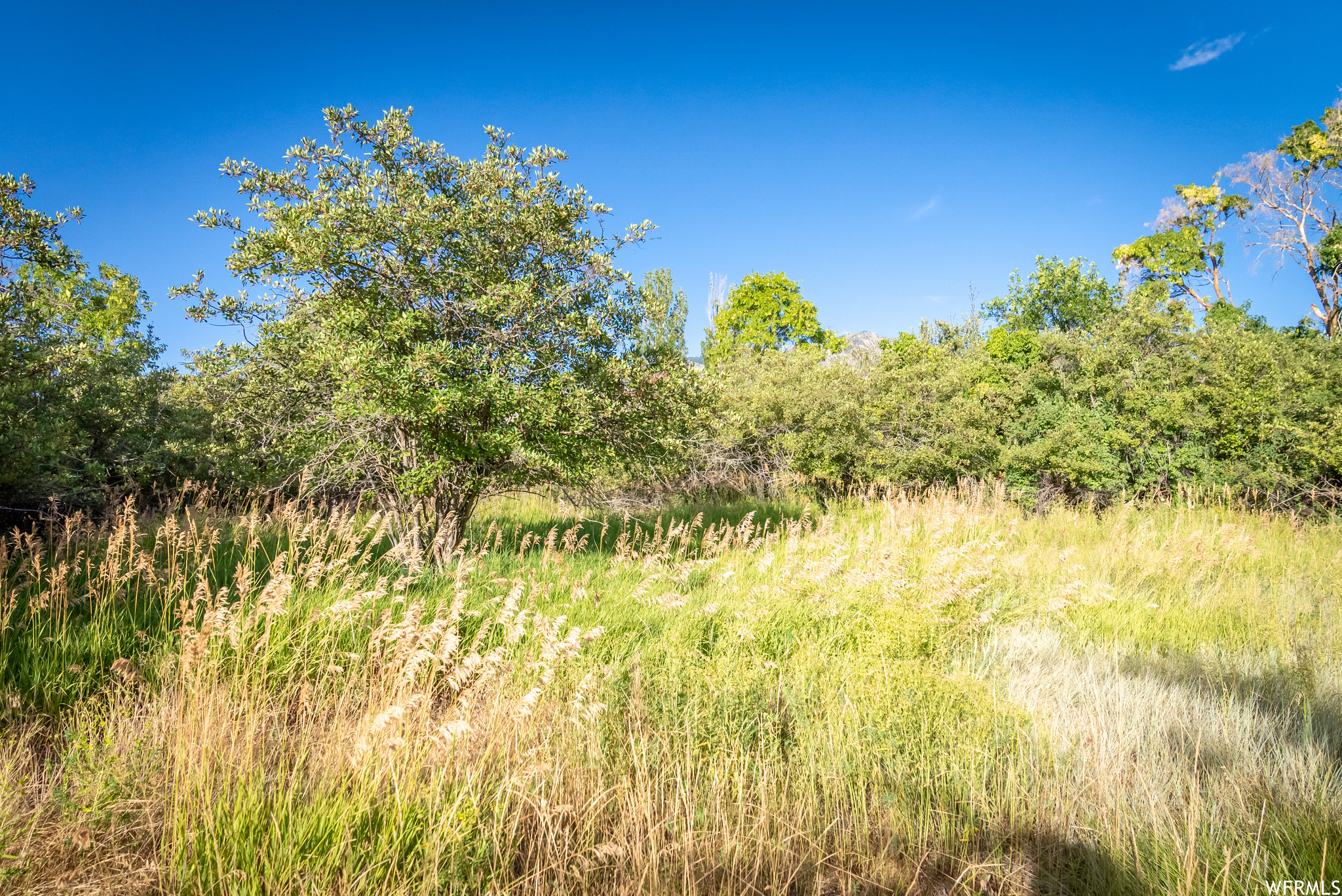 658 CHERRY #2, Richmond, Utah 84333, ,Land,For sale,CHERRY,1891314