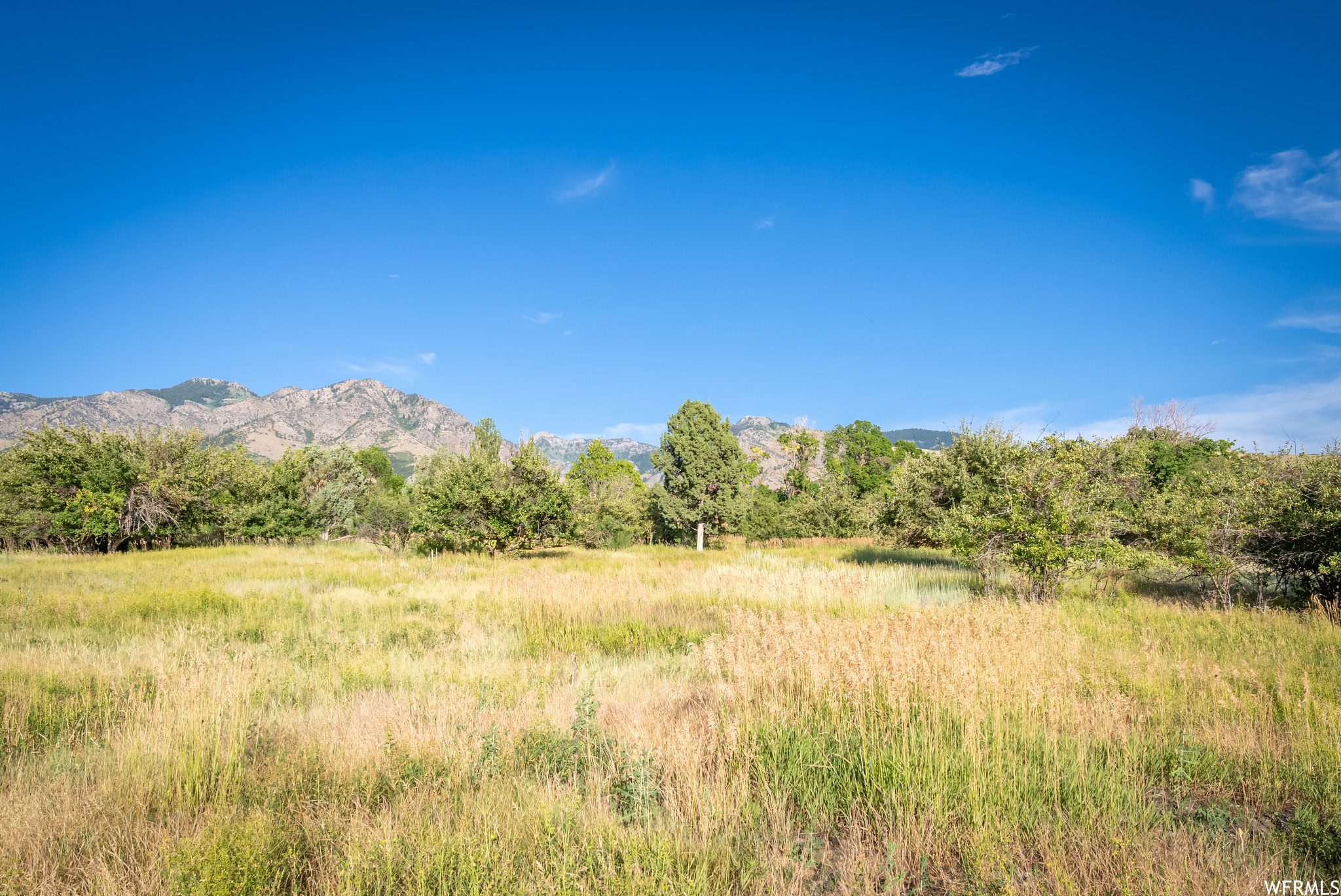 658 CHERRY #2, Richmond, Utah 84333, ,Land,For sale,CHERRY,1891314