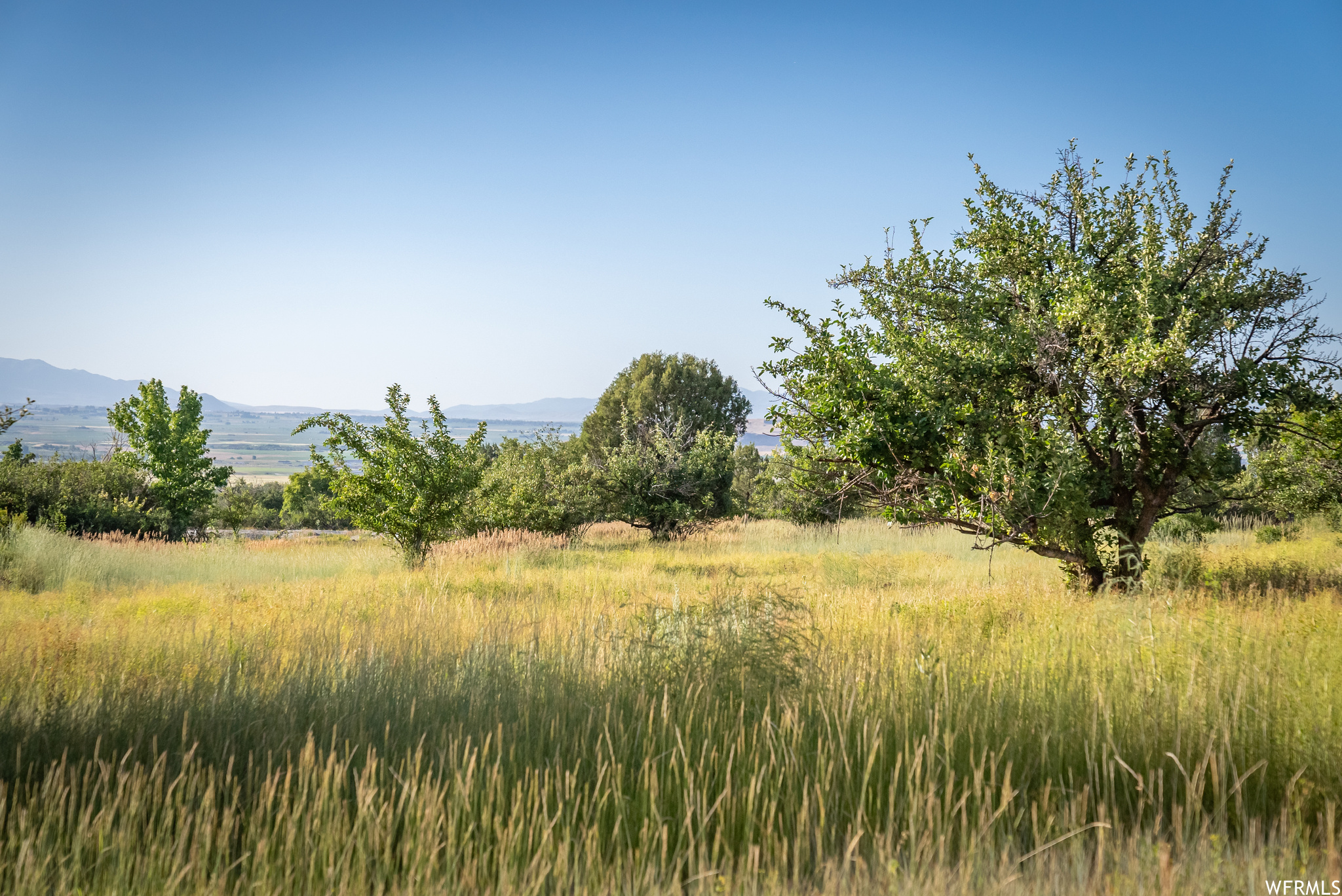 658 CHERRY #2, Richmond, Utah 84333, ,Land,For sale,CHERRY,1891314