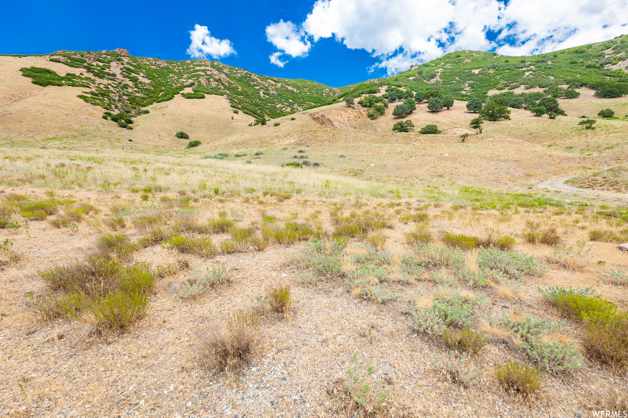 7081 S CITY VIEW #11, Cottonwood Heights, Utah 84121, ,Land,For sale,CITY VIEW,1891621