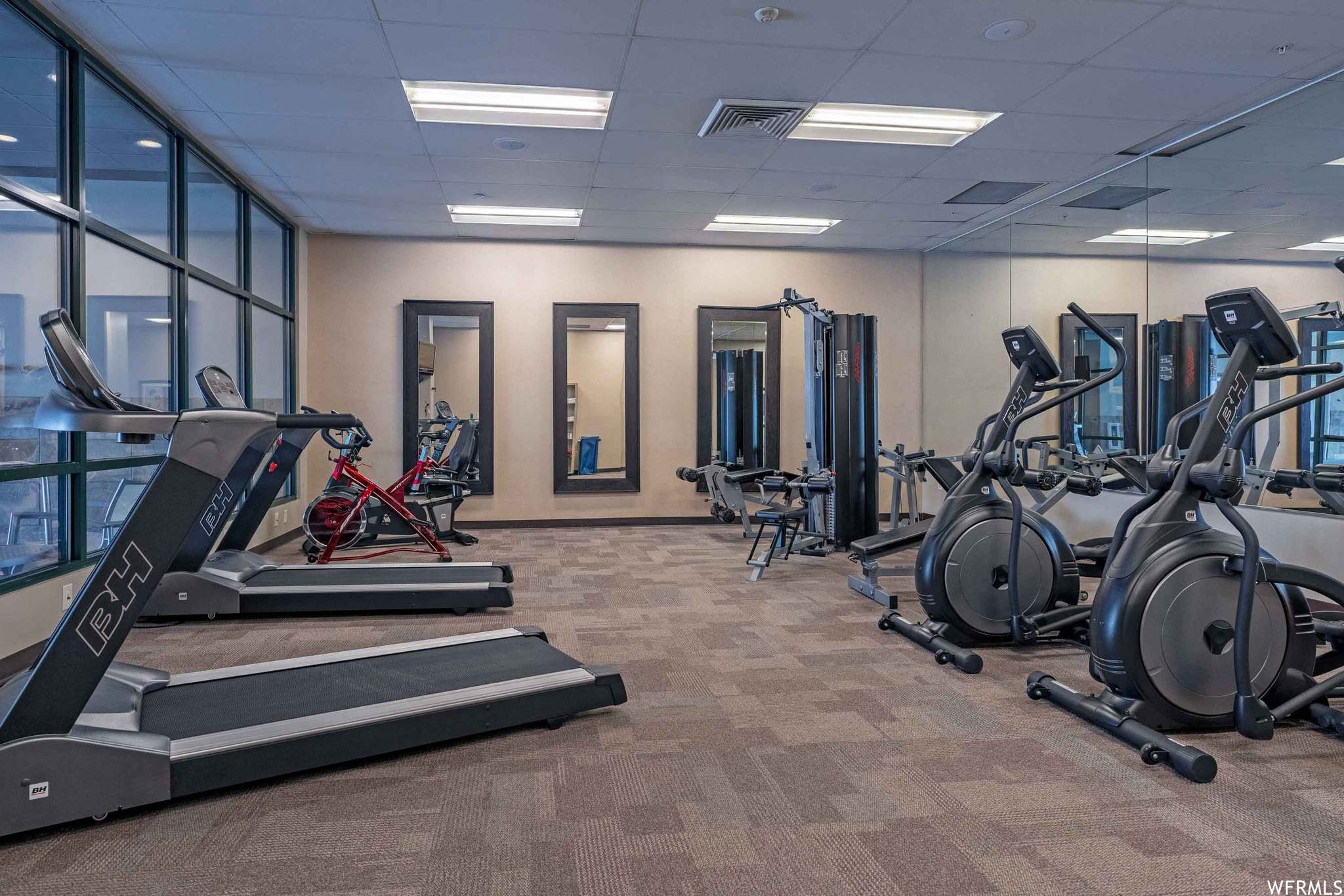 Workout area featuring a drop ceiling and carpet flooring