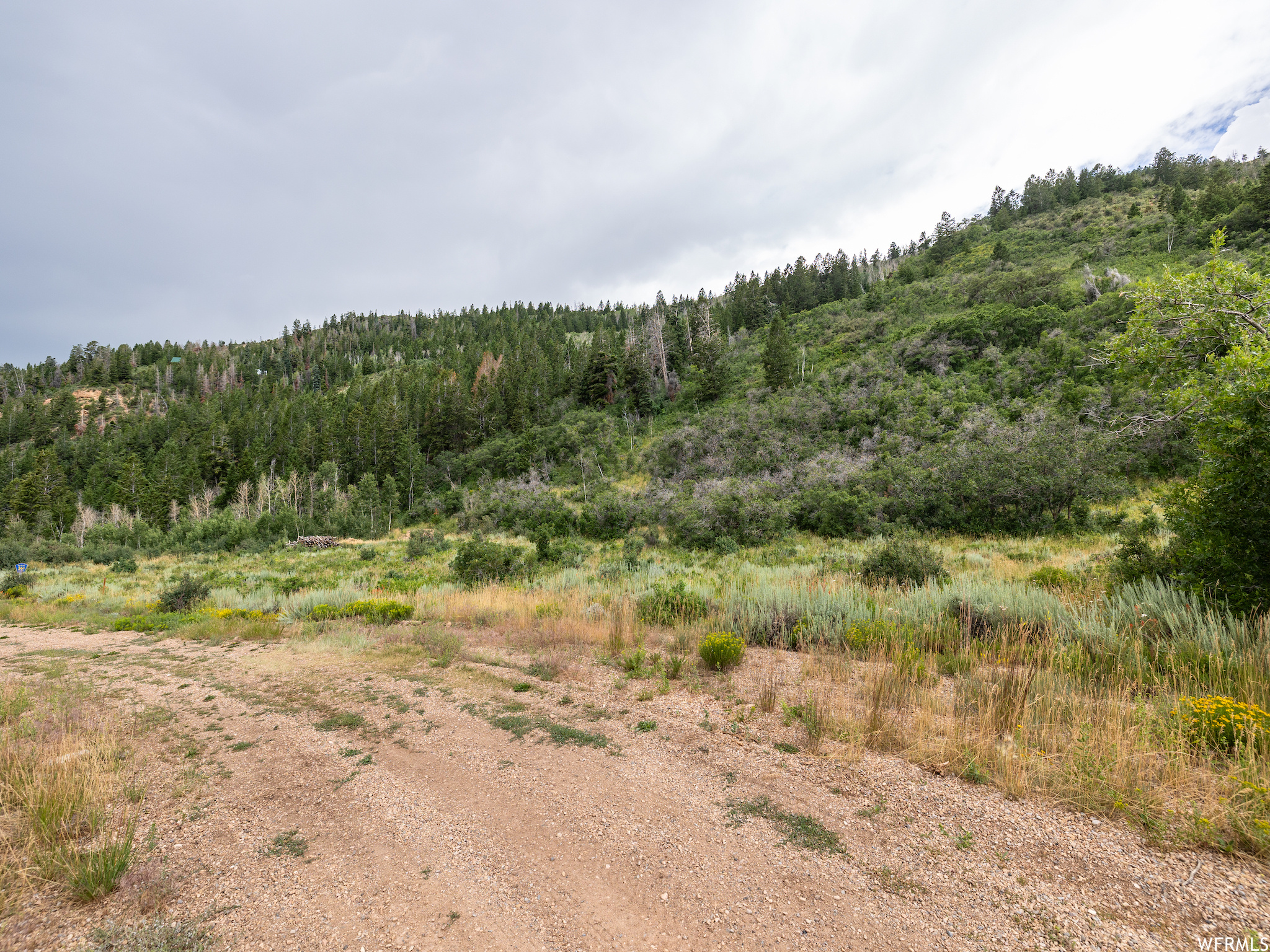 #24, Tabiona, Utah 84072, ,Land,For sale,1892423