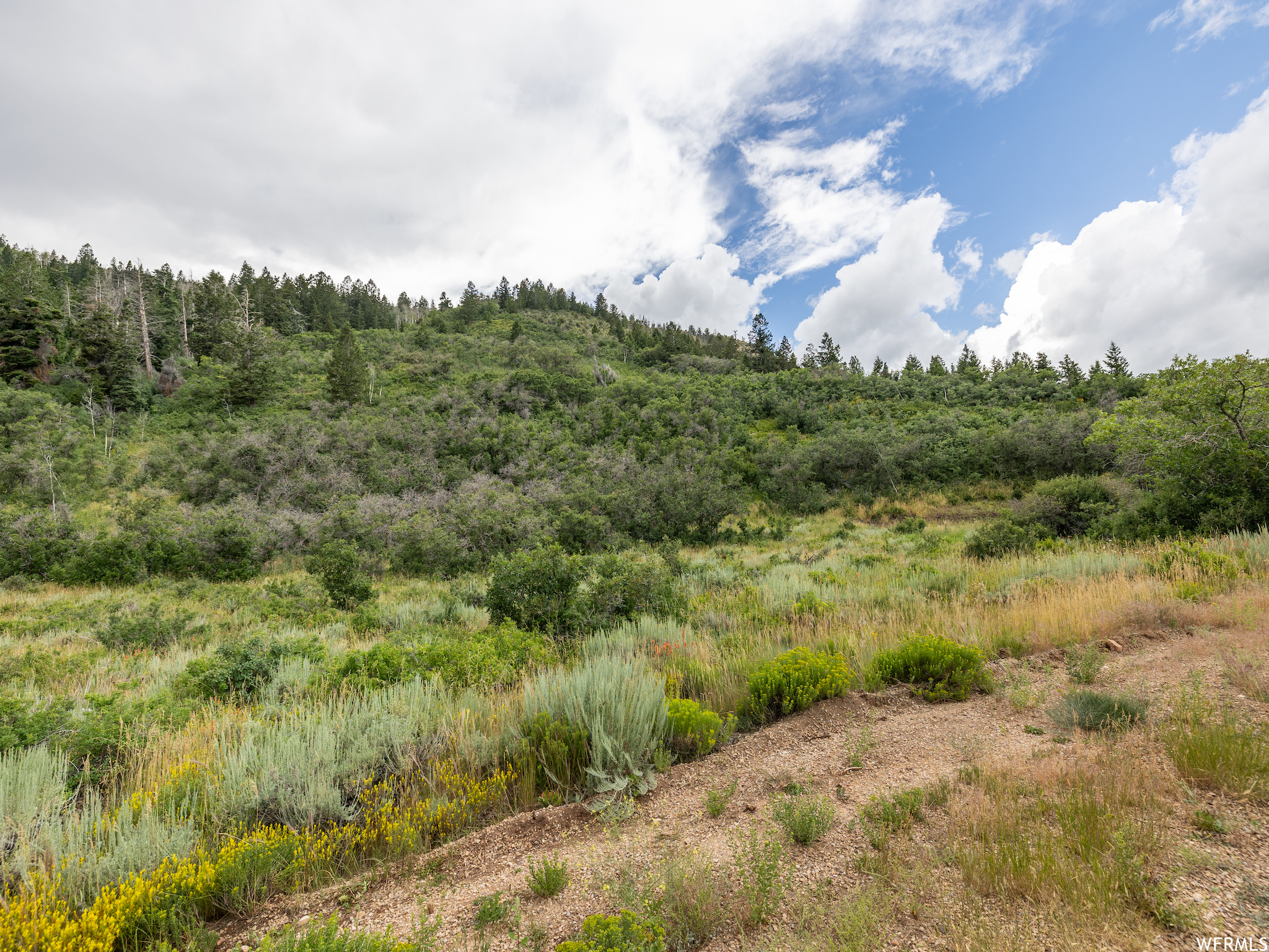 #24, Tabiona, Utah 84072, ,Land,For sale,1892423