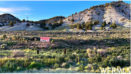 Spanish Fork, Utah 84660, ,Land,For sale,1892430